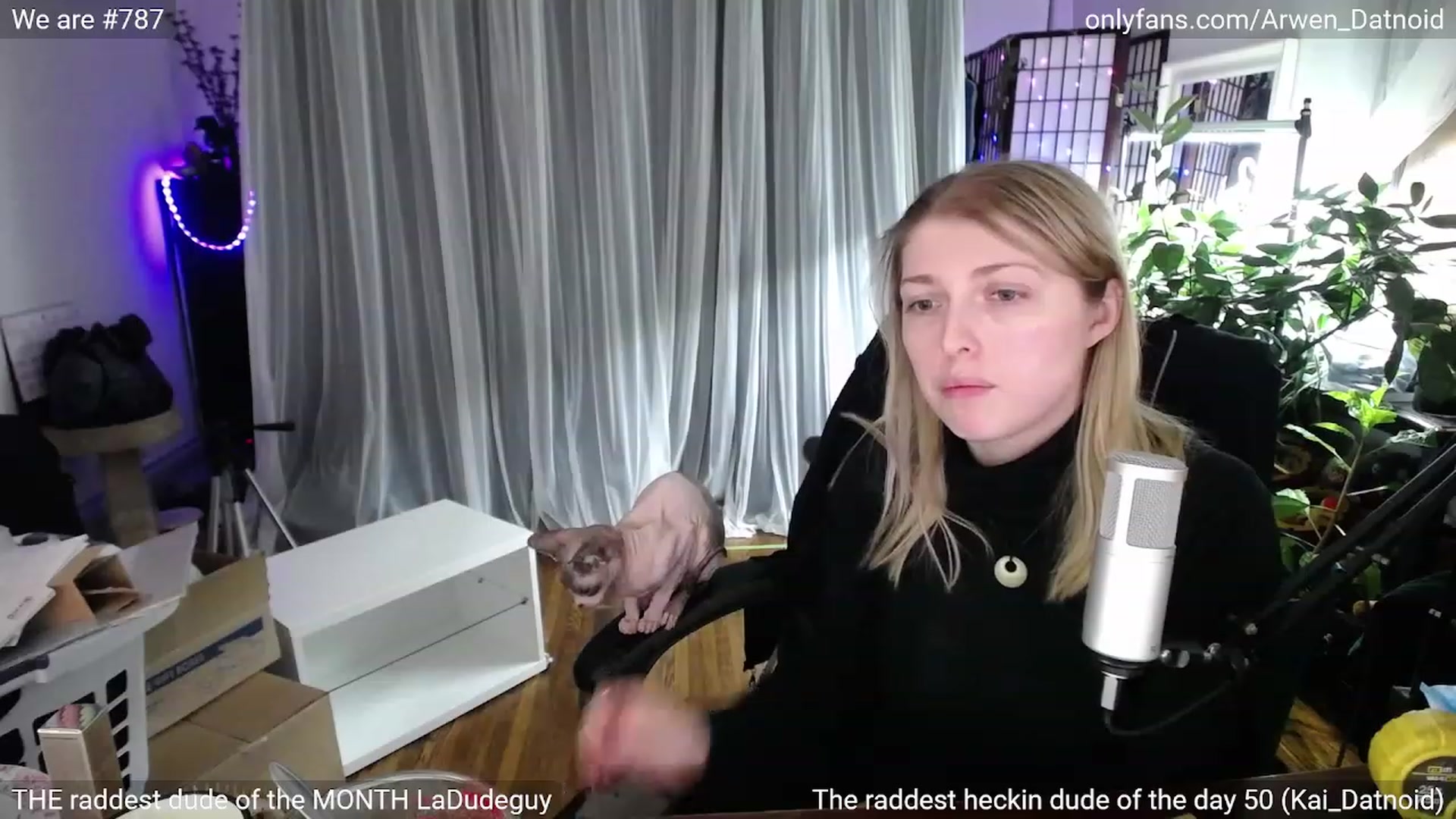 Gallery image thumbnail from Arwen_Datnoid's myfreecams stream on, 01/20/2023, 04:46 image 16 of 20