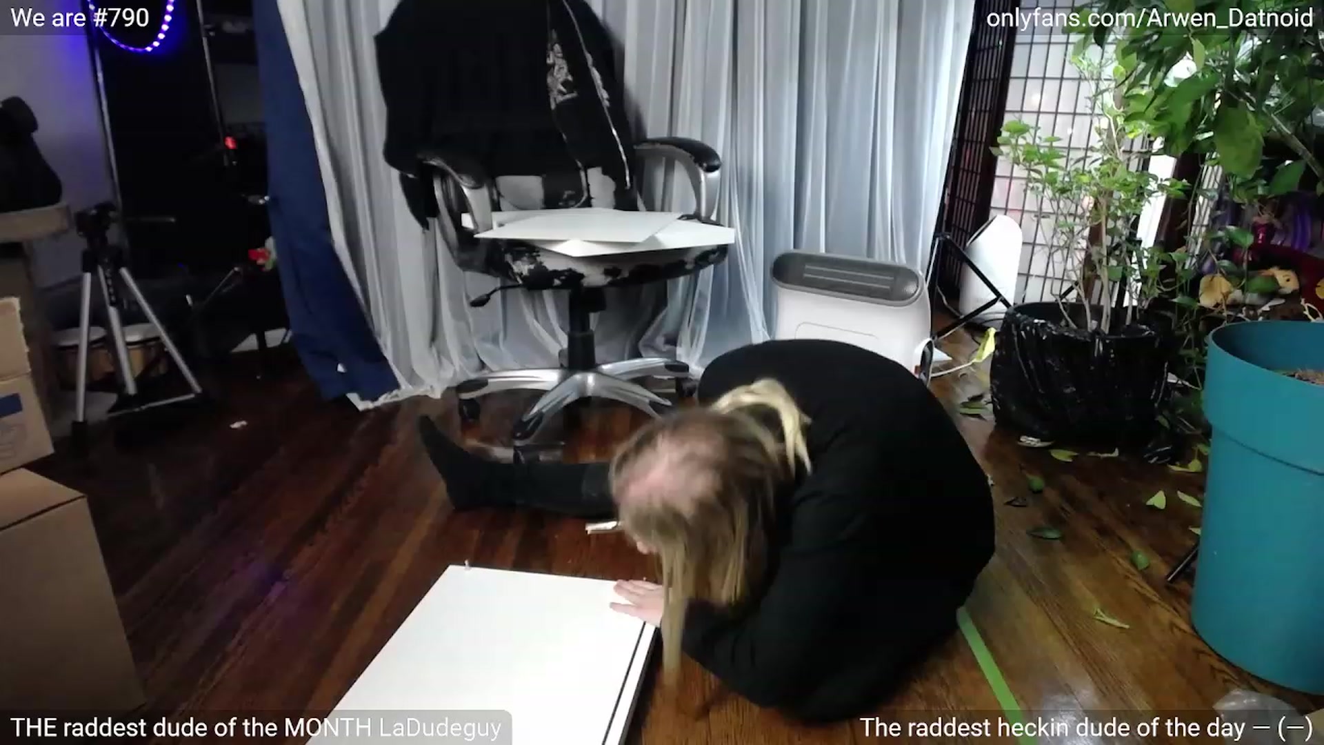 Gallery image thumbnail from Arwen_Datnoid's myfreecams stream on, 01/20/2023, 04:46 image 3 of 20