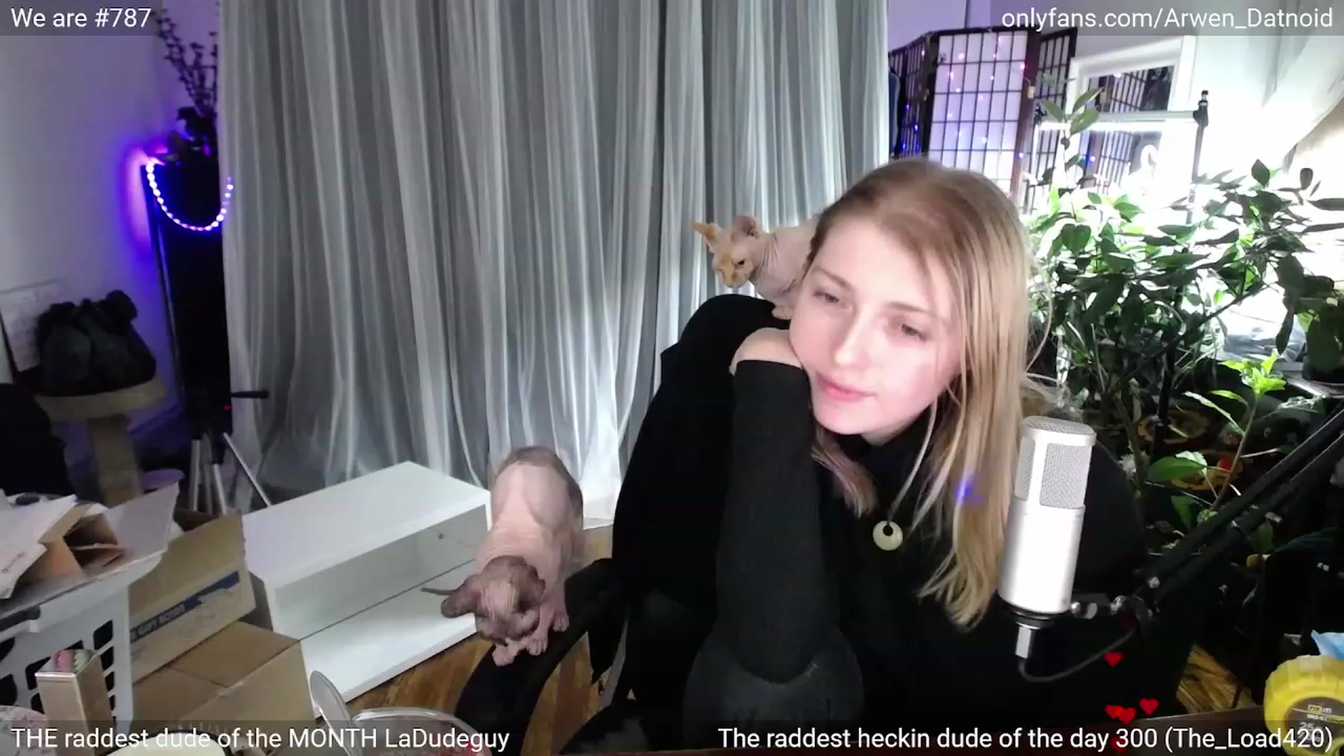 Gallery image thumbnail from Arwen_Datnoid's myfreecams stream on, 01/20/2023, 04:46 image 20 of 20