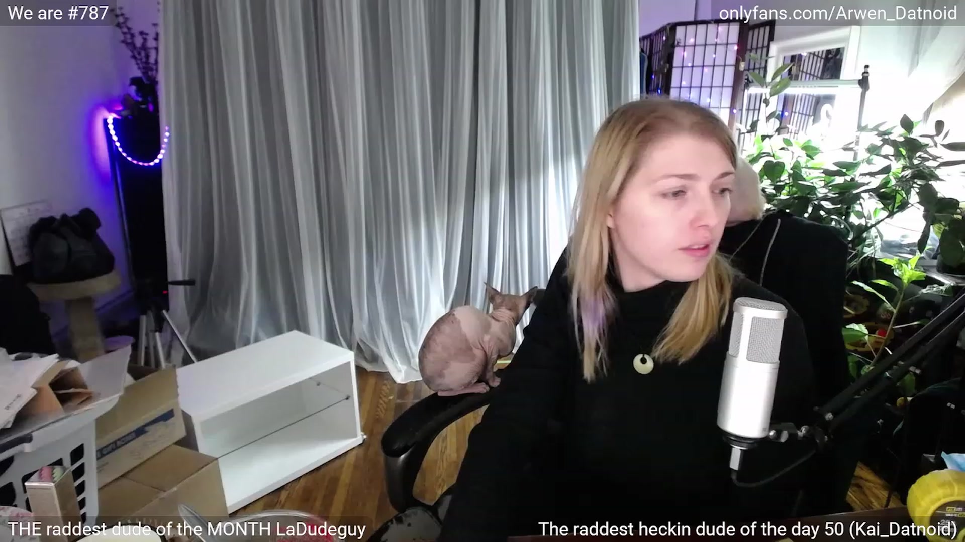Gallery image thumbnail from Arwen_Datnoid's myfreecams stream on, 01/20/2023, 04:46 image 15 of 20