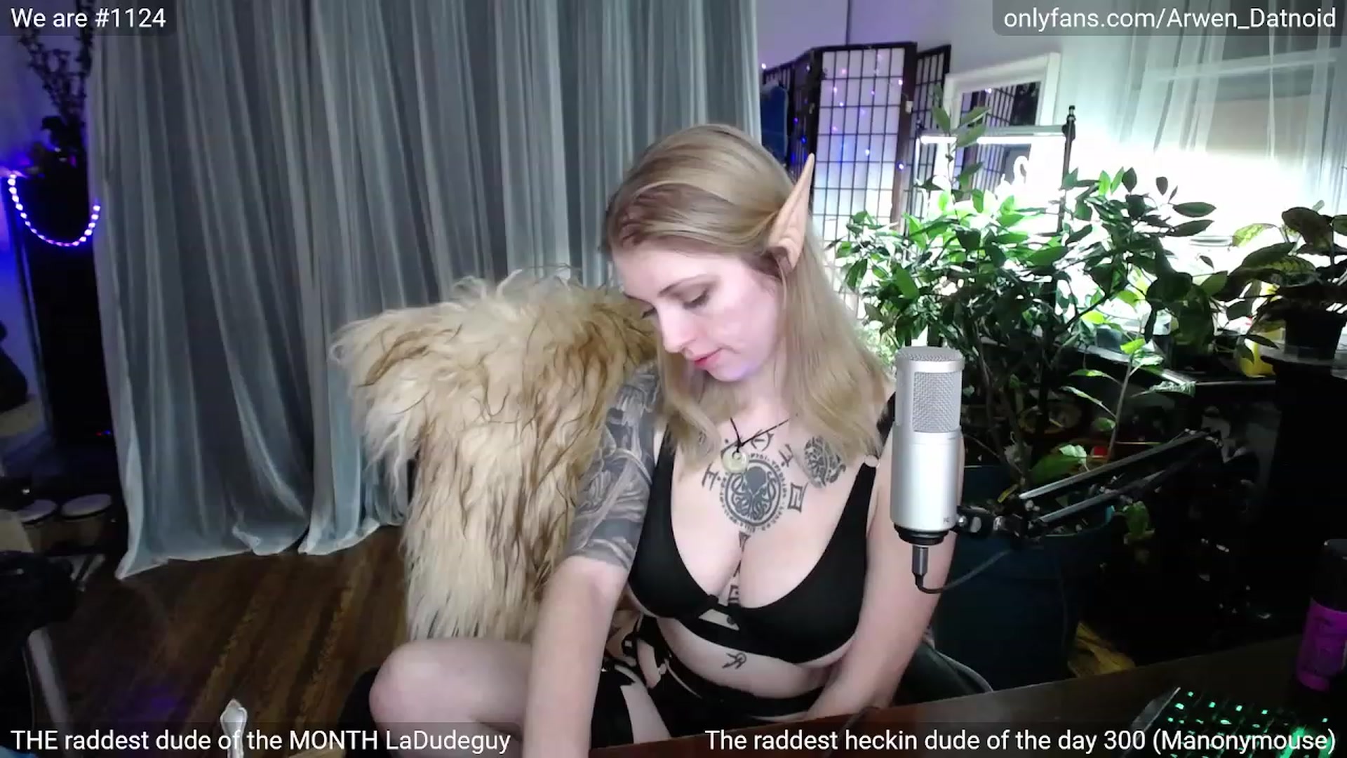 Gallery image thumbnail from Arwen_Datnoid's myfreecams stream on, 01/28/2023, 05:22 image 17 of 20