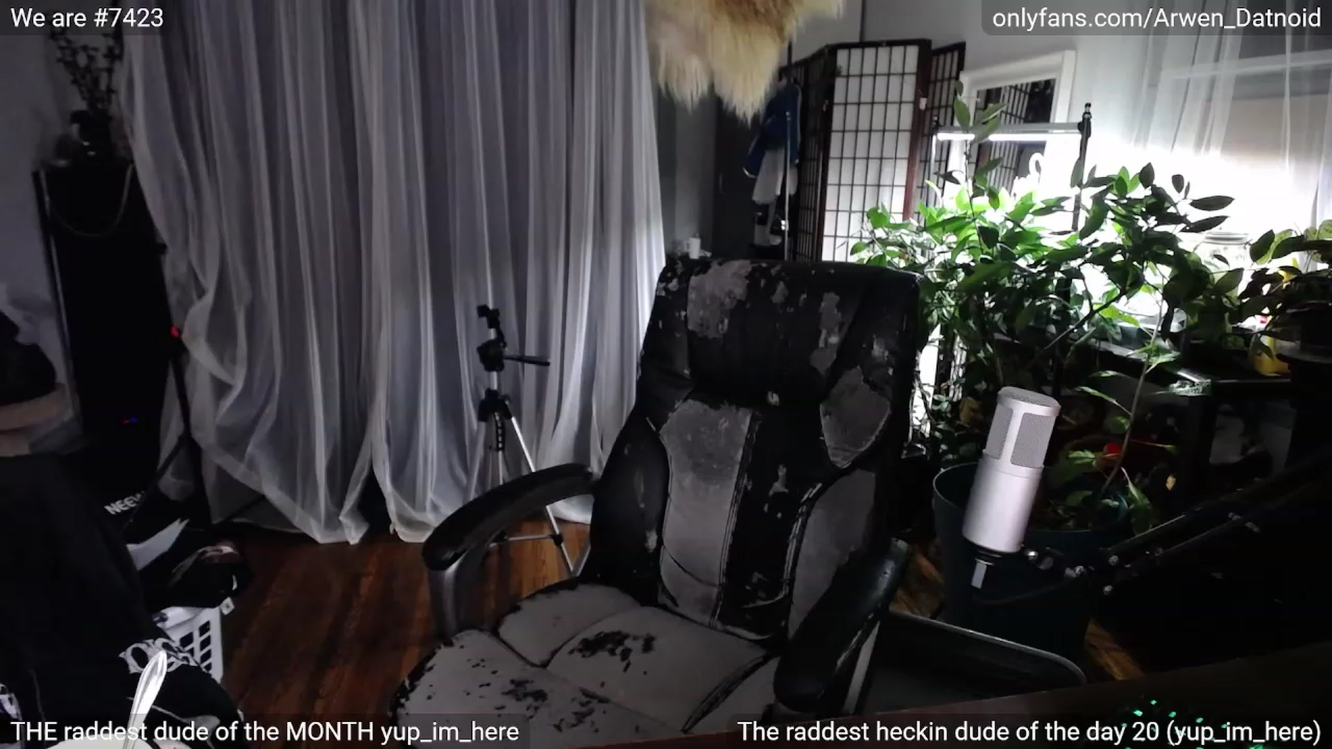Gallery image thumbnail from Arwen_Datnoid's myfreecams stream on, 02/04/2023, 05:45 image 5 of 20