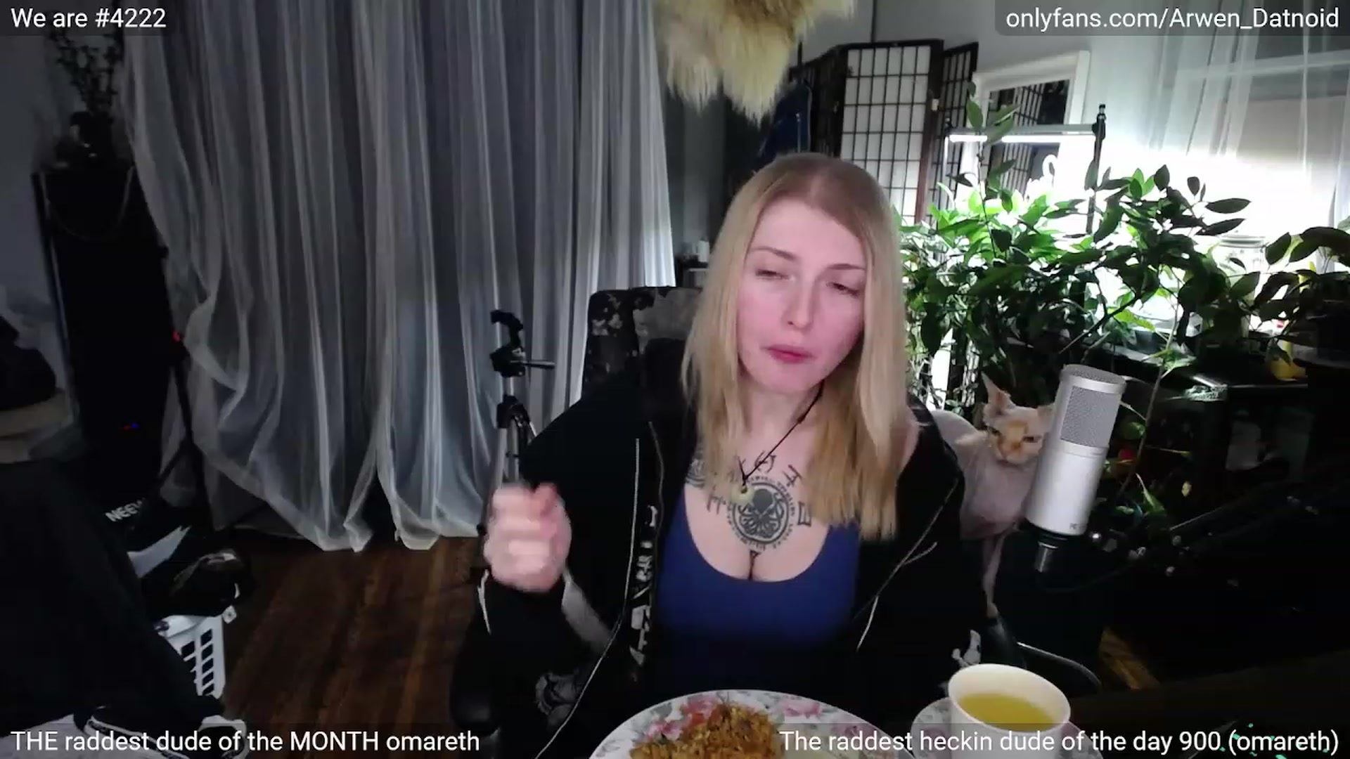 Gallery image thumbnail from Arwen_Datnoid's myfreecams stream on, 02/04/2023, 05:45 image 15 of 20