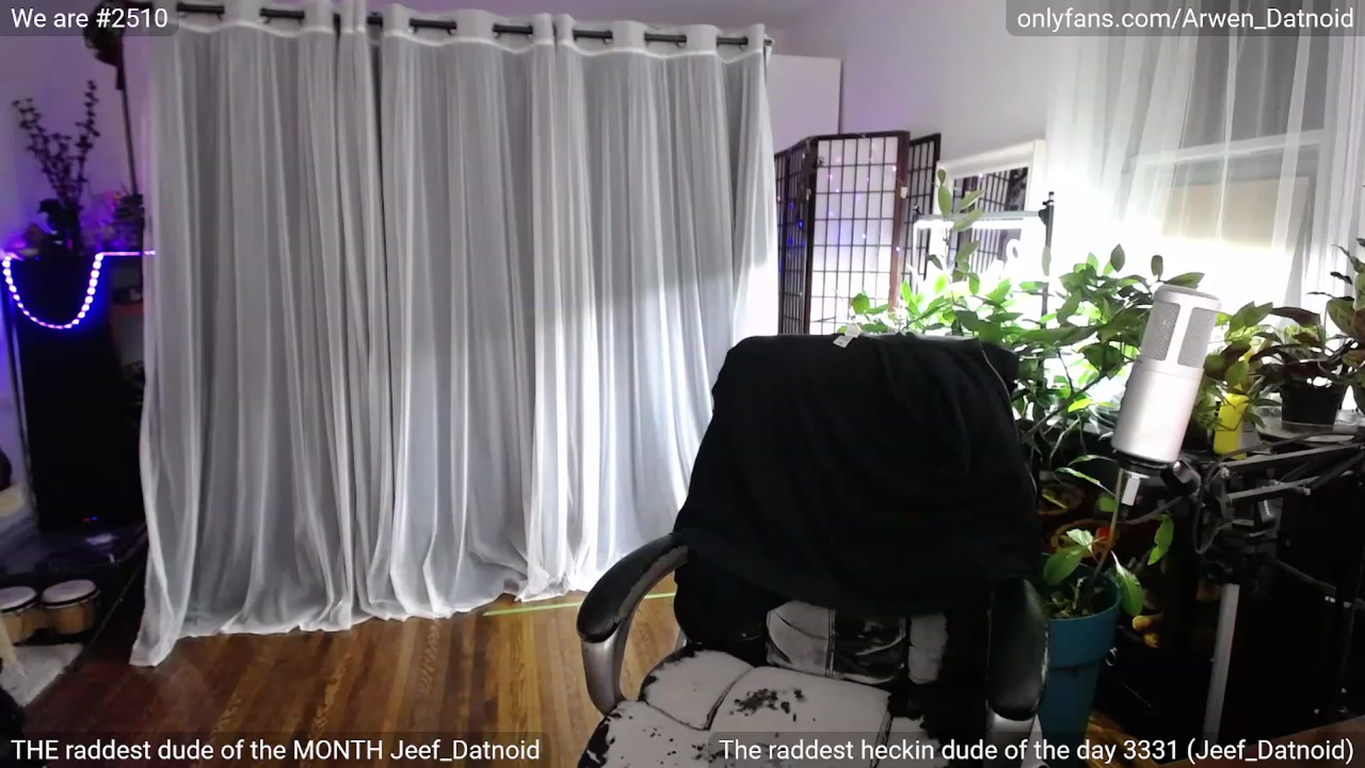 Gallery image thumbnail from Arwen_Datnoid's myfreecams stream on, 02/11/2023, 04:48 image 15 of 20
