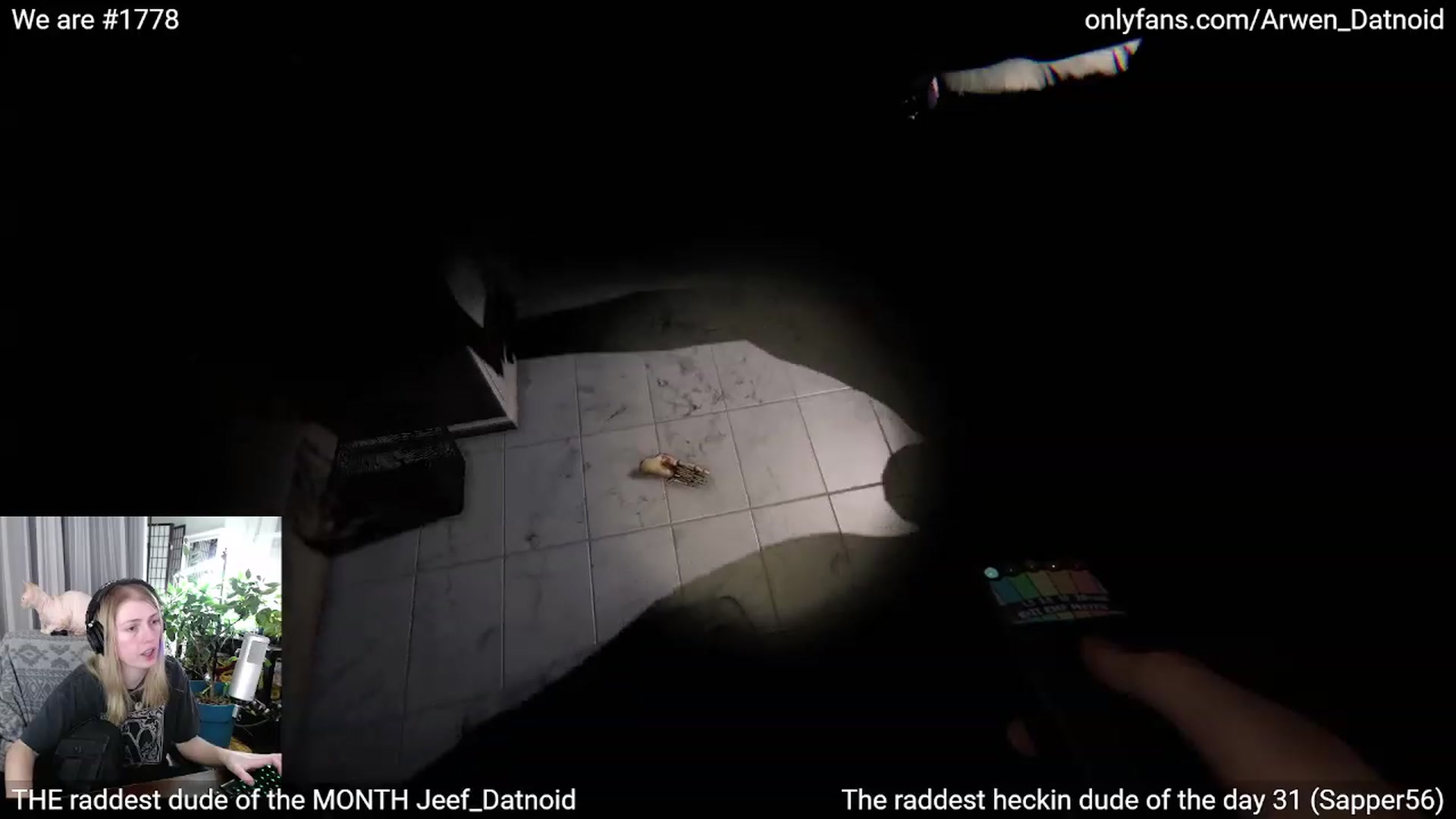 Gallery image thumbnail from Arwen_Datnoid's myfreecams stream on, 02/20/2023, 04:29 image 8 of 20