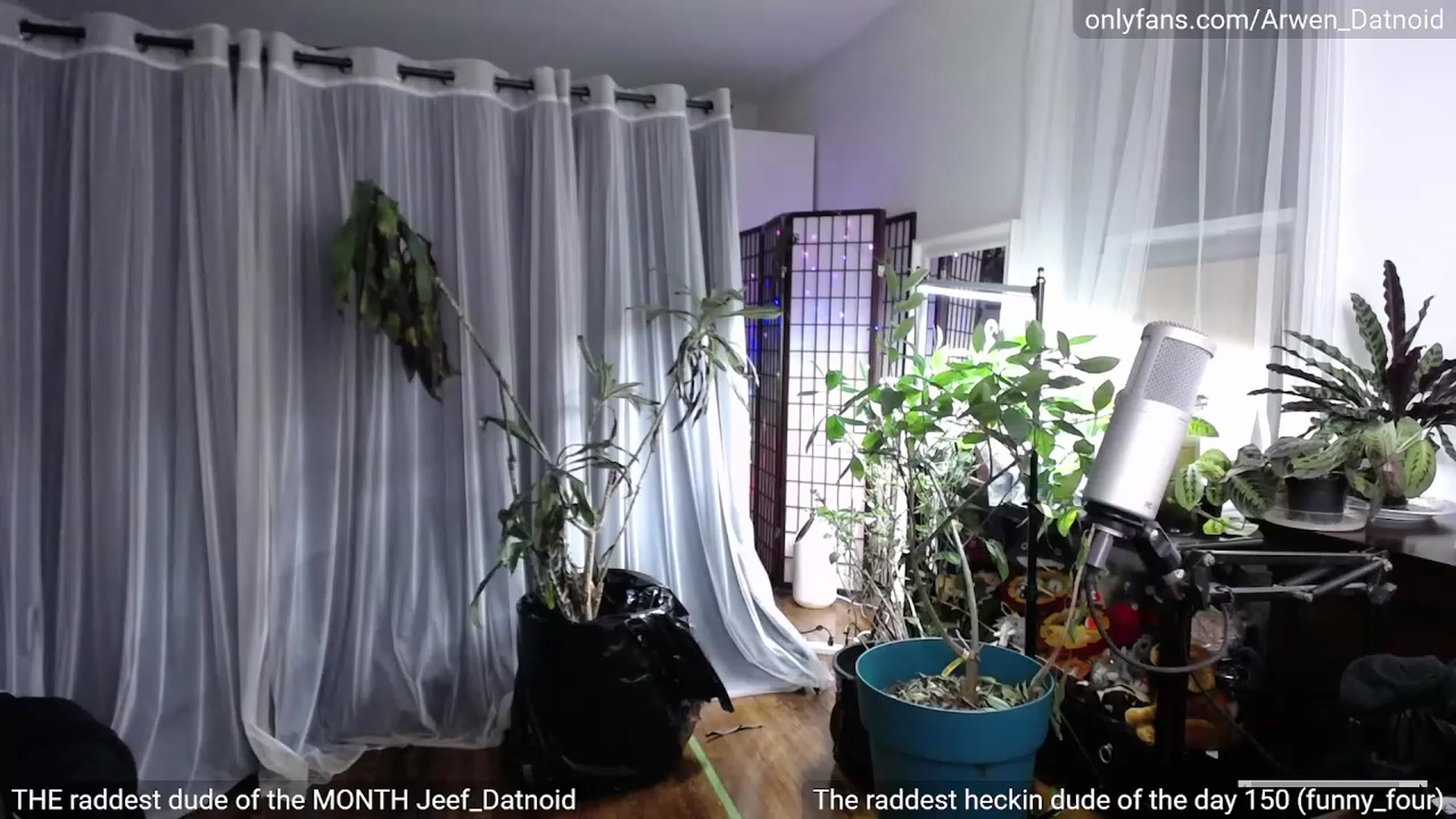 Gallery image thumbnail from Arwen_Datnoid's myfreecams stream on, 03/12/2023, 04:45 image 10 of 20