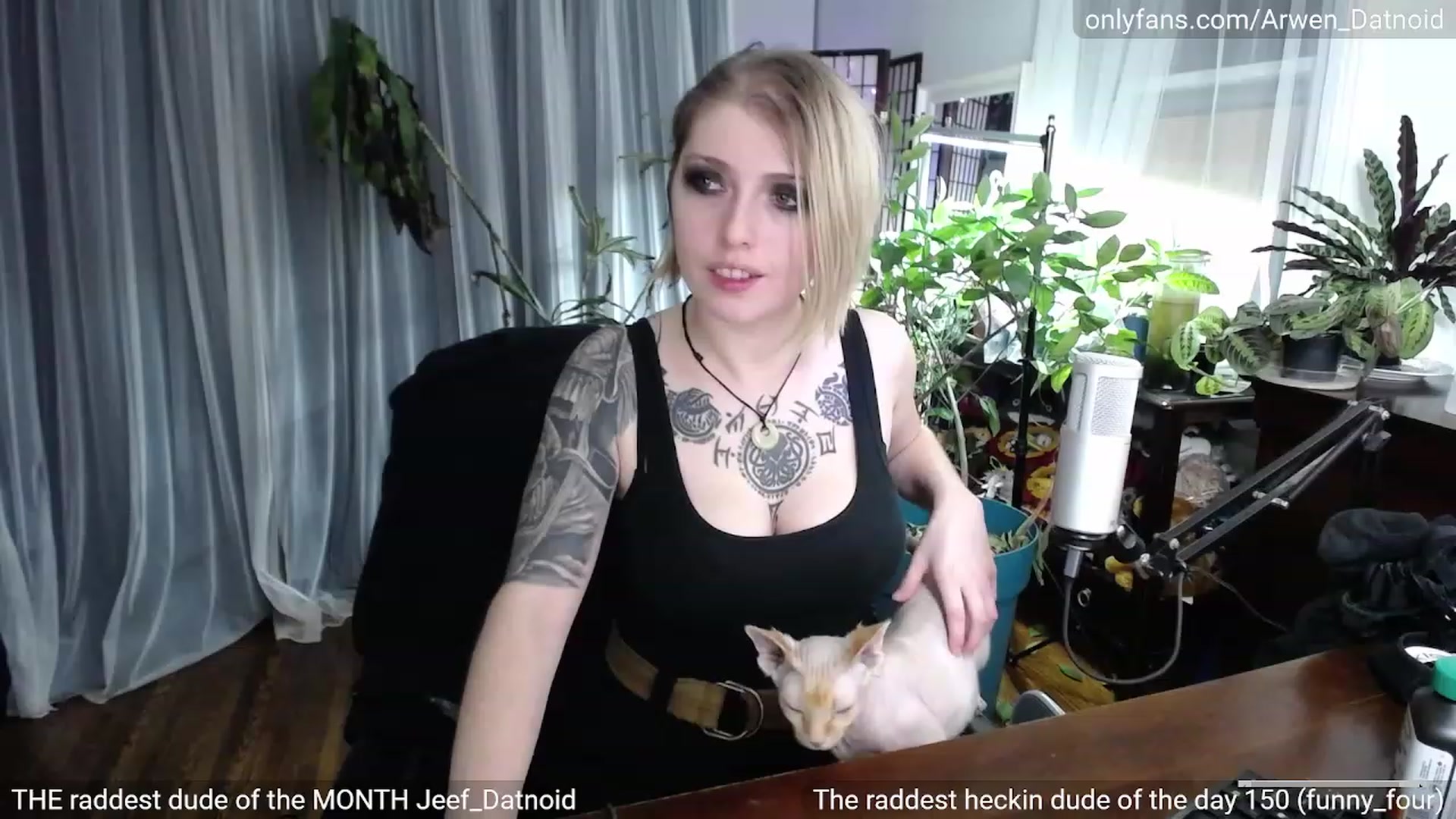 Gallery image thumbnail from Arwen_Datnoid's myfreecams stream on, 03/12/2023, 04:45 image 4 of 20