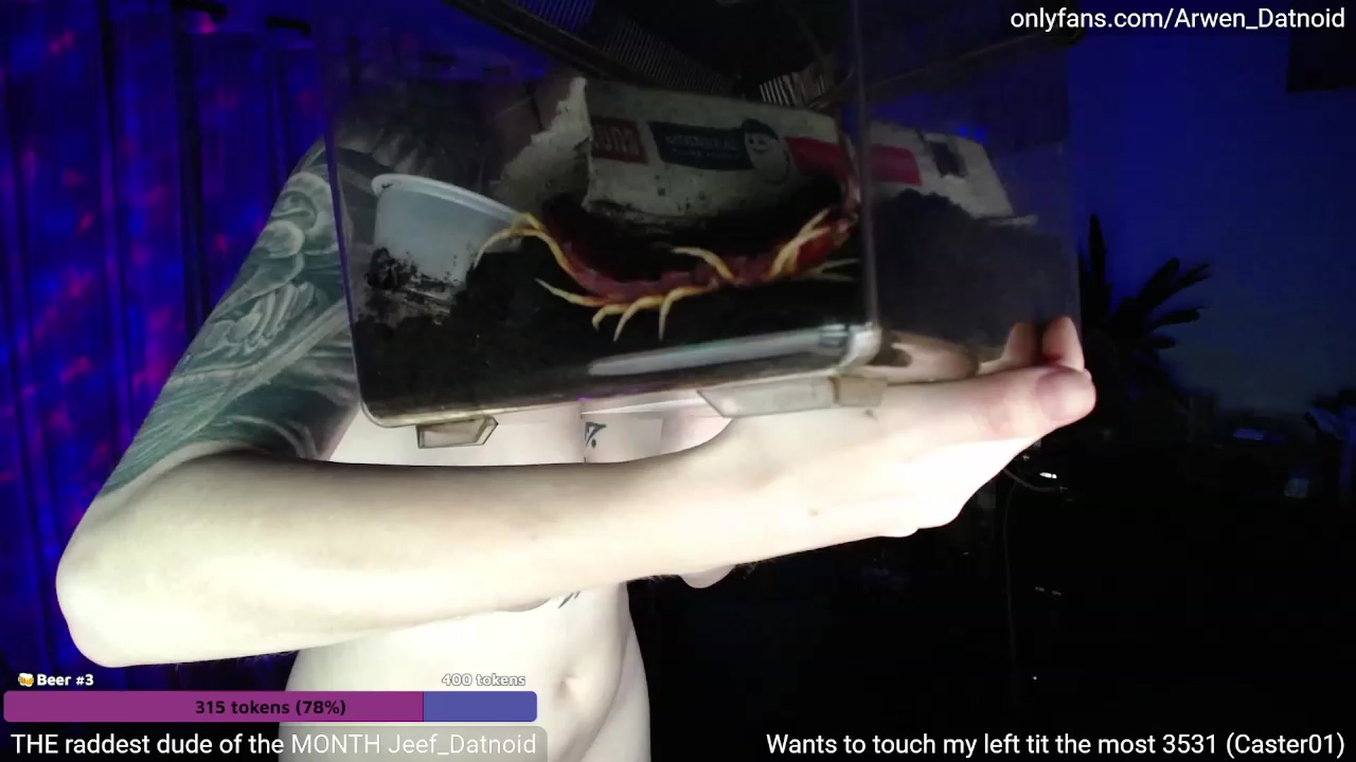 Gallery image thumbnail from Arwen_Datnoid's myfreecams stream on, 04/23/2023, 06:07 image 10 of 20