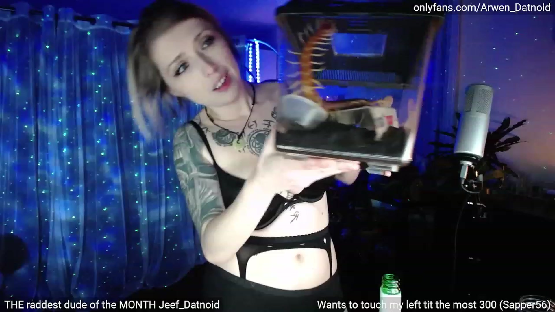 Gallery image thumbnail from Arwen_Datnoid's myfreecams stream on, 04/29/2023, 07:14 image 2 of 20