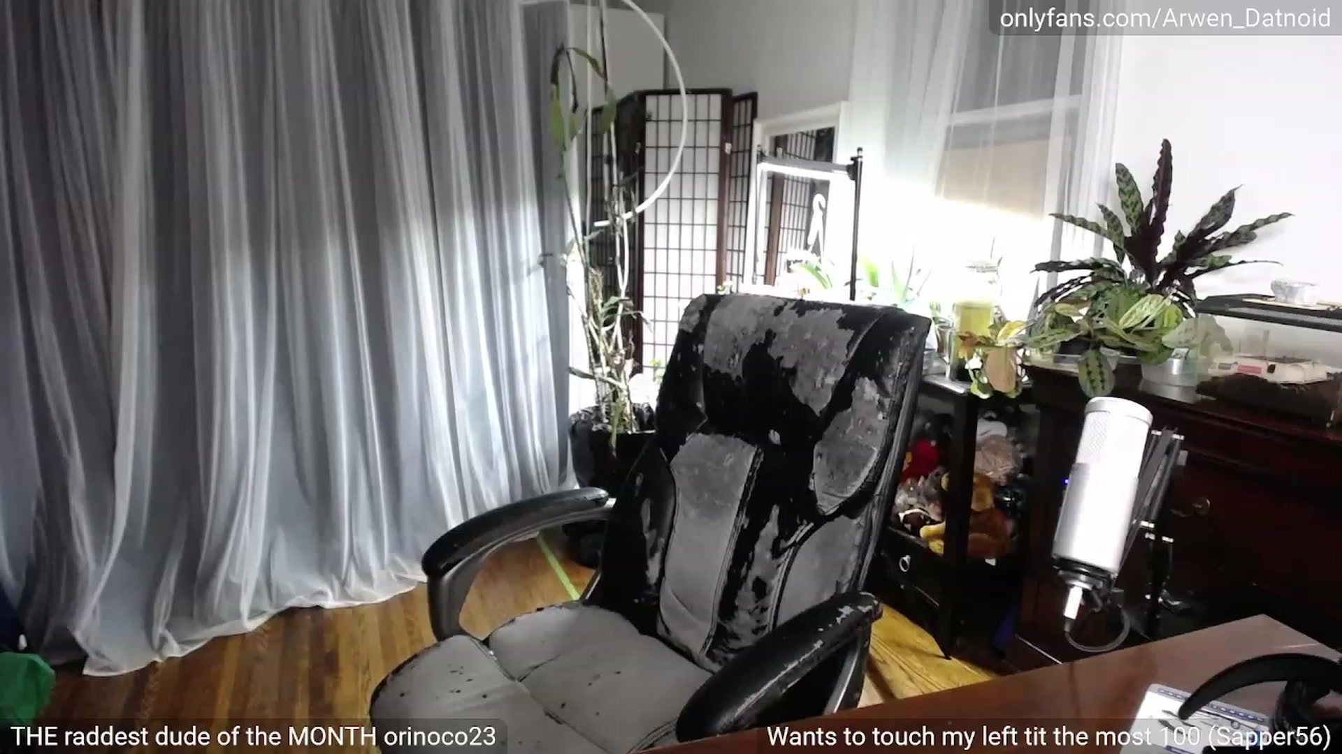 Gallery image thumbnail from Arwen_Datnoid's myfreecams stream on, 05/01/2023, 02:16 image 12 of 20