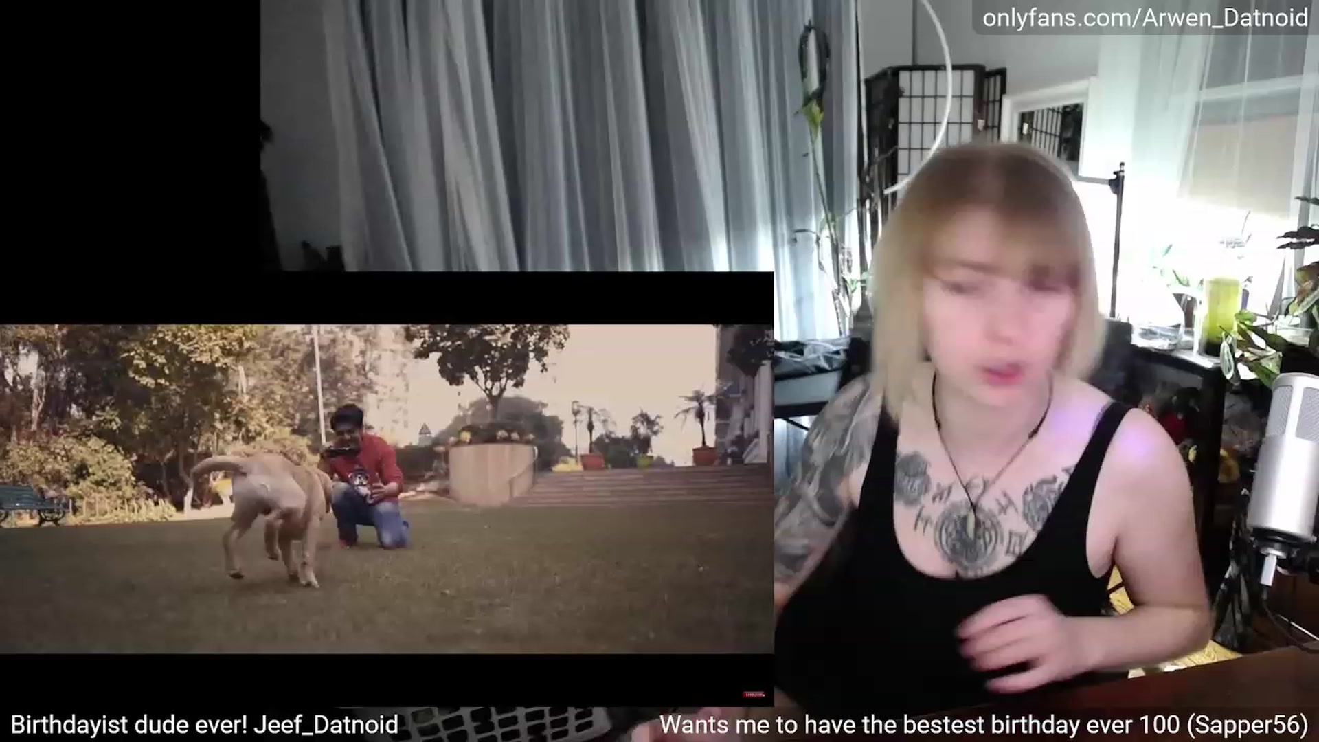 Gallery image thumbnail from Arwen_Datnoid's myfreecams stream on, 05/12/2023, 03:03 image 11 of 20