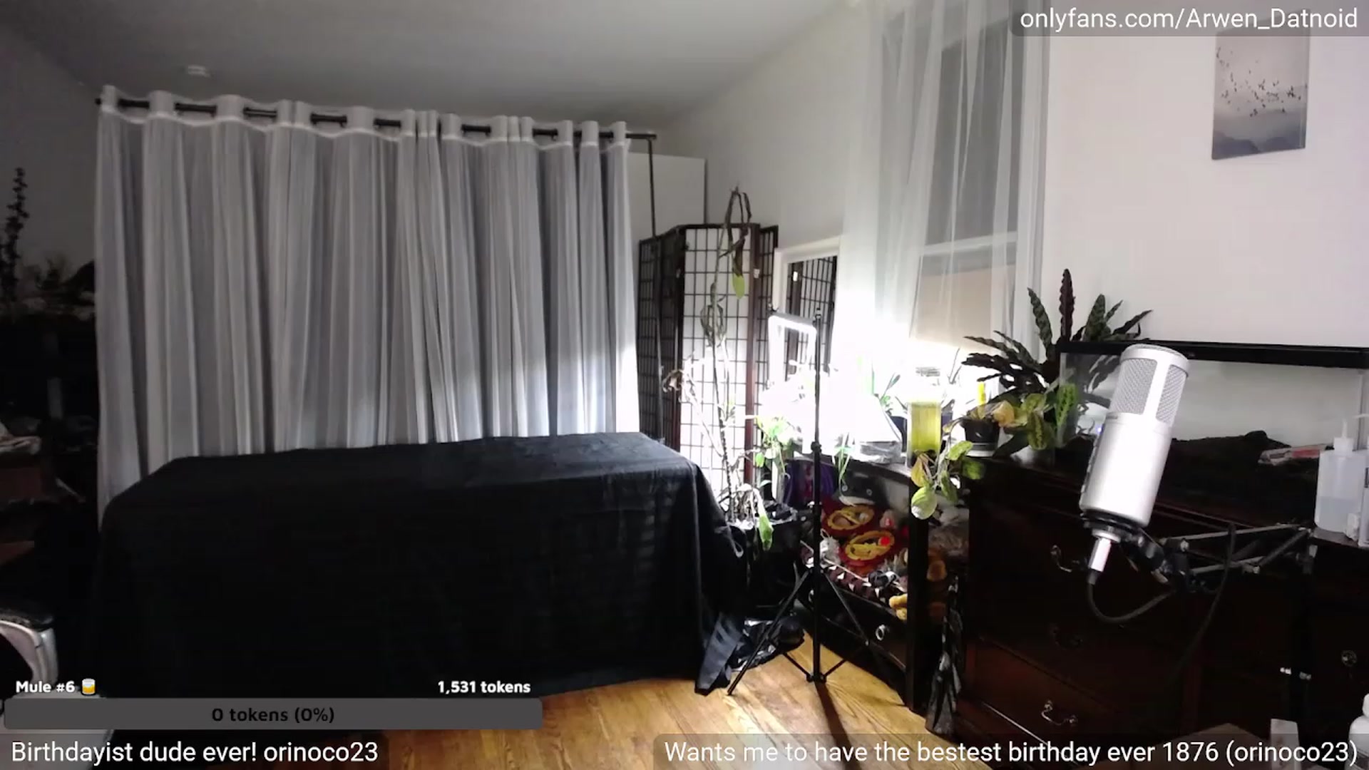 Gallery image thumbnail from Arwen_Datnoid's myfreecams stream on, 05/19/2023, 06:16 image 6 of 20