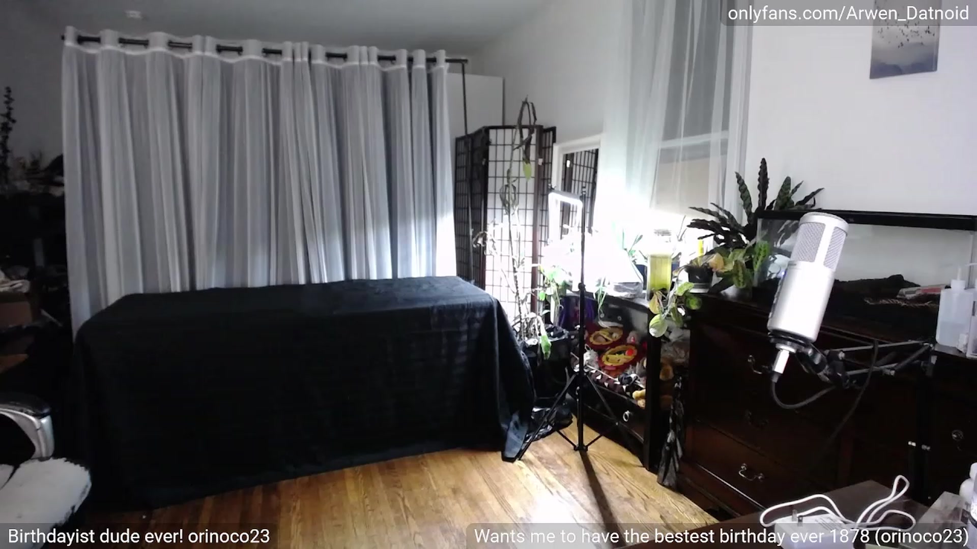 Gallery image thumbnail from Arwen_Datnoid's myfreecams stream on, 05/19/2023, 06:16 image 15 of 20