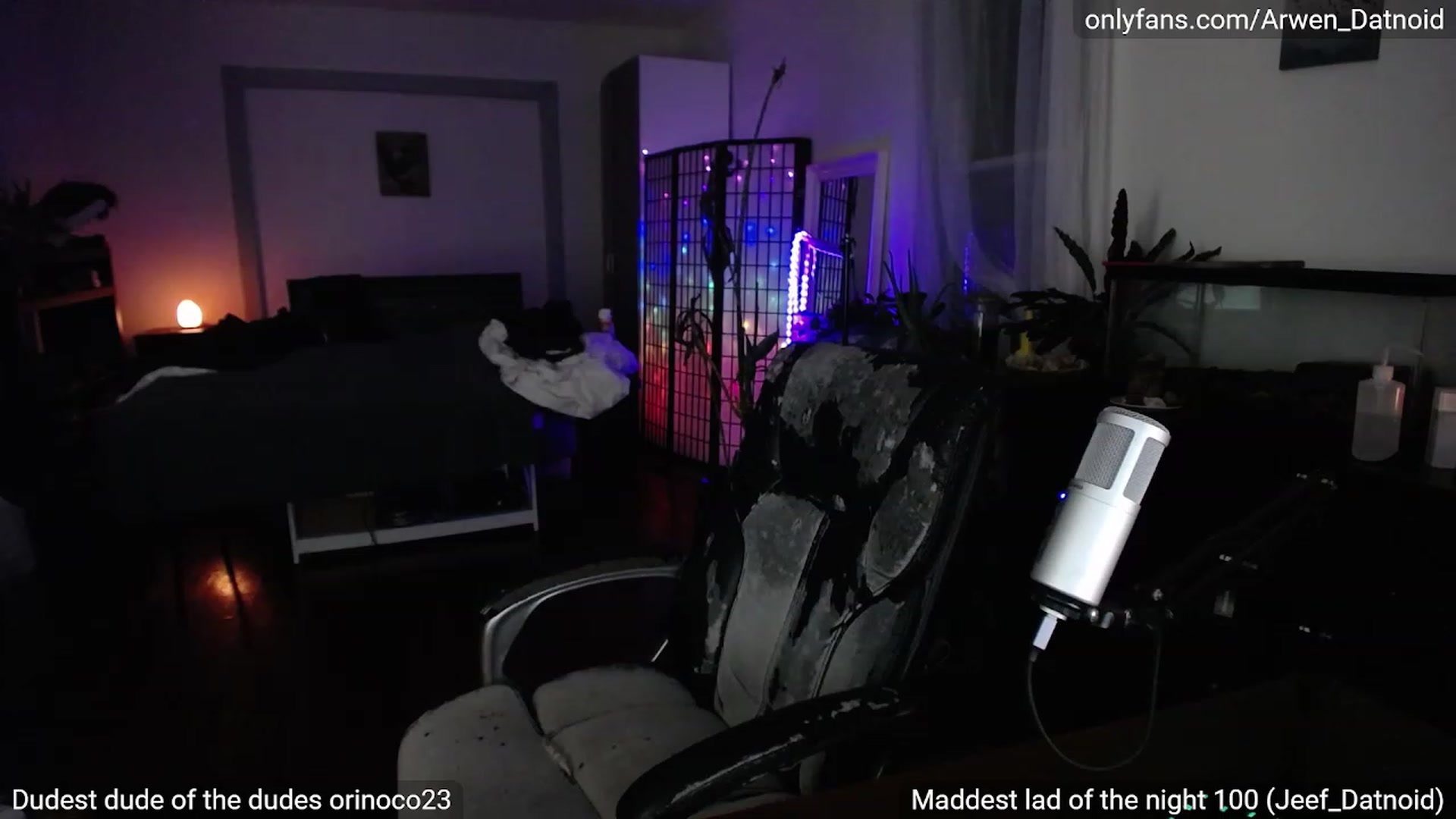 Gallery image thumbnail from Arwen_Datnoid's myfreecams stream on, 06/19/2023, 04:10 image 5 of 20