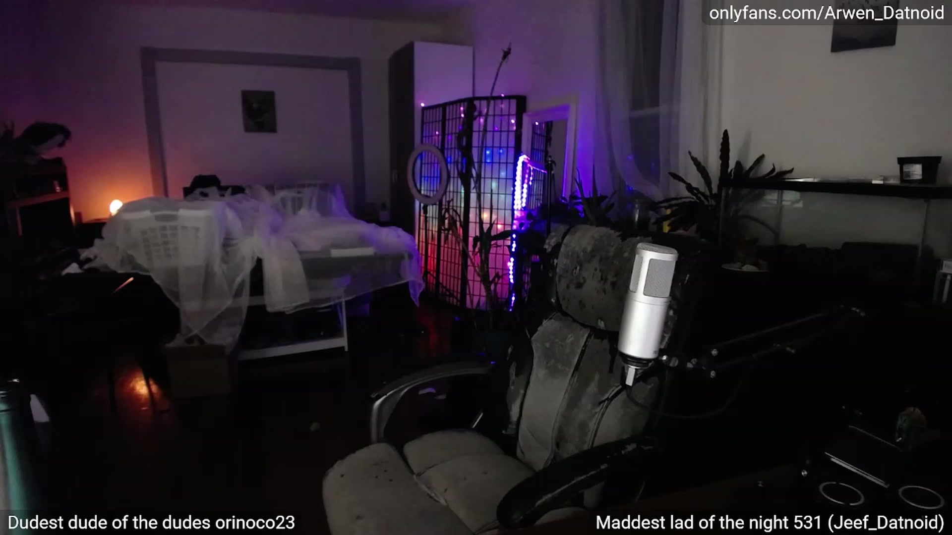 Gallery image thumbnail from Arwen_Datnoid's myfreecams stream on, 06/30/2023, 04:06 image 8 of 20