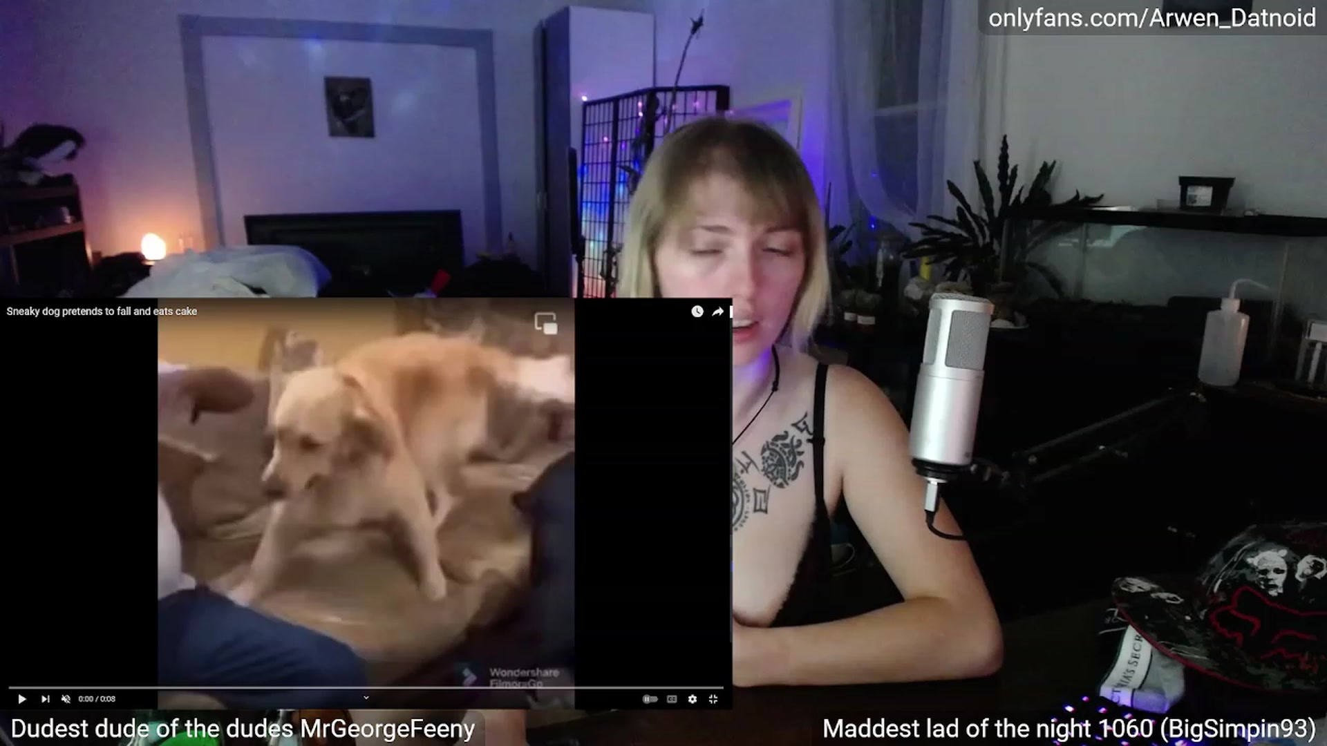 Gallery image thumbnail from Arwen_Datnoid's myfreecams stream on, 07/08/2023, 04:34 image 17 of 20
