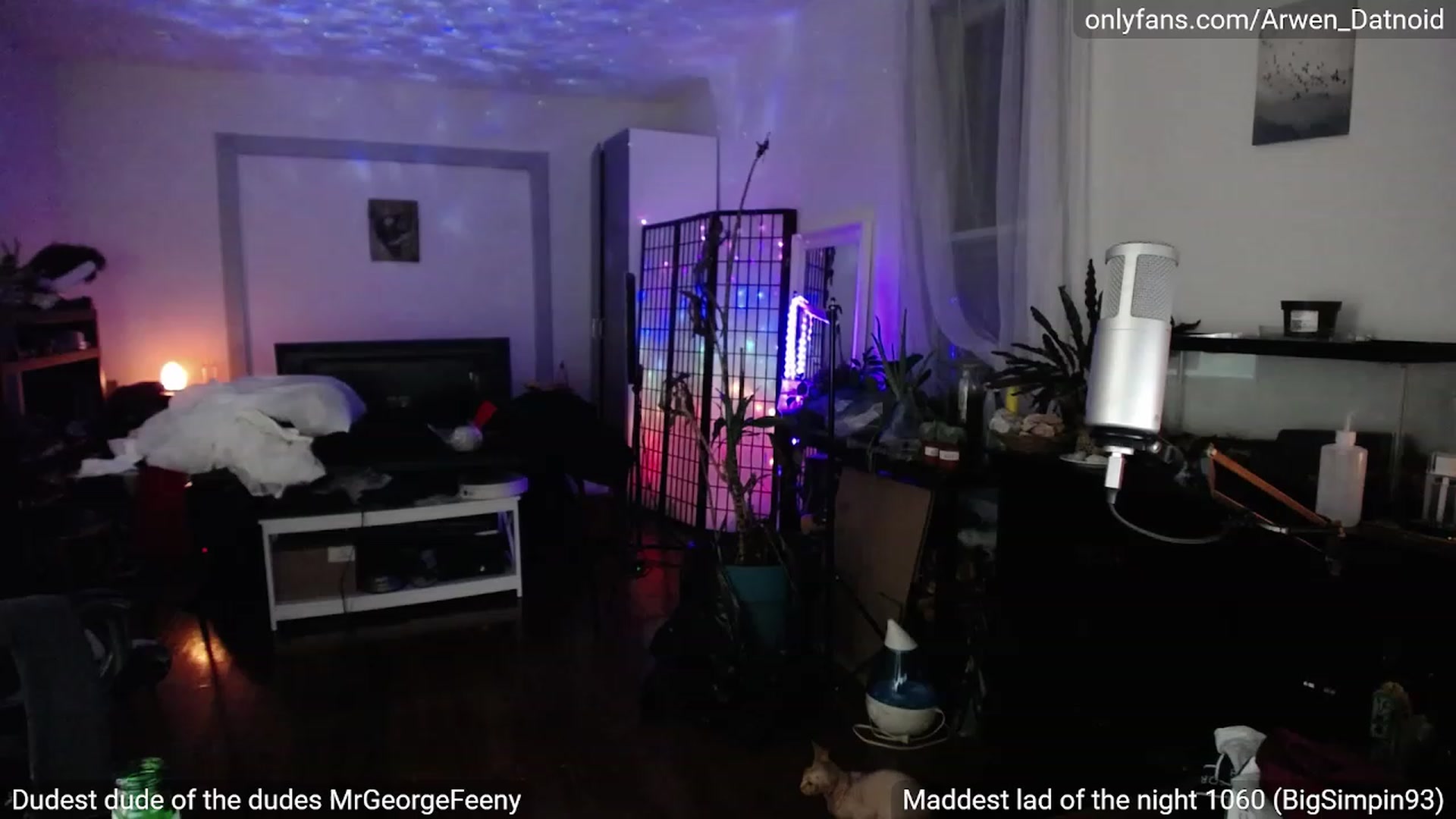 Gallery image thumbnail from Arwen_Datnoid's myfreecams stream on, 07/08/2023, 04:34 image 2 of 20