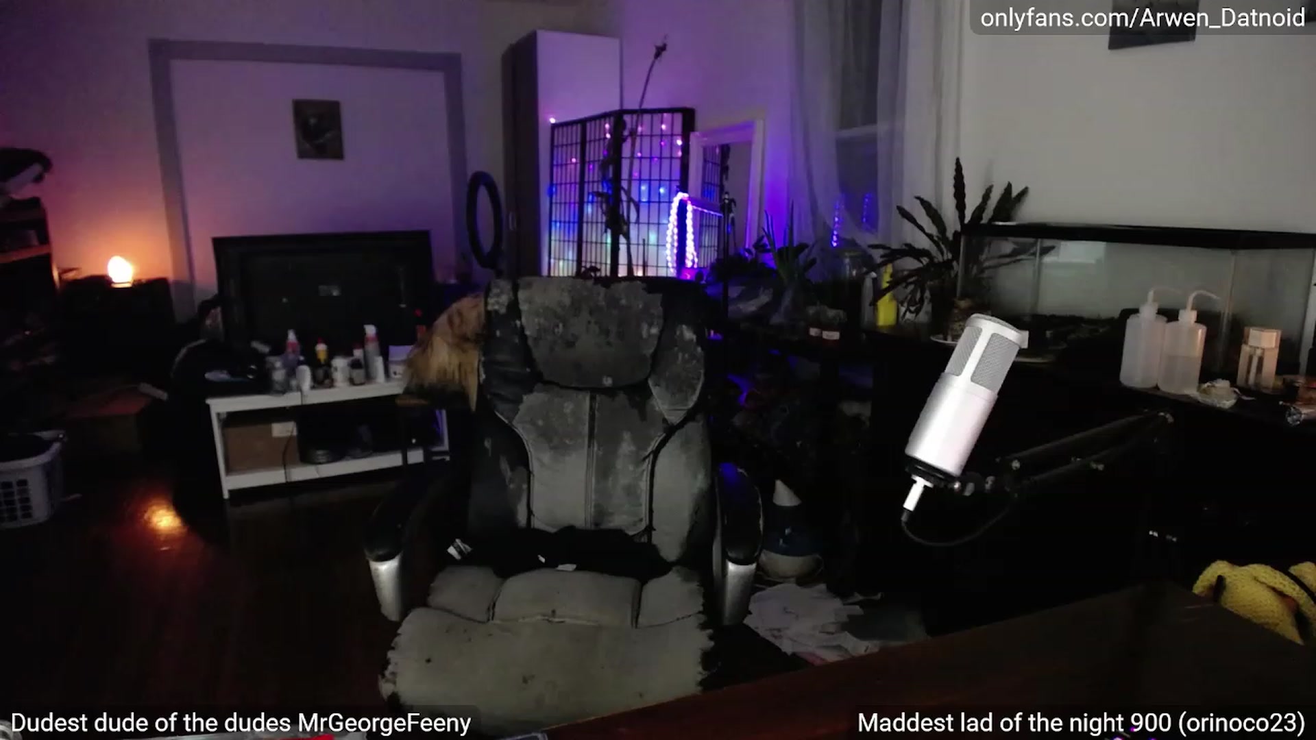 Gallery image thumbnail from Arwen_Datnoid's myfreecams stream on, 07/15/2023, 05:36 image 7 of 20