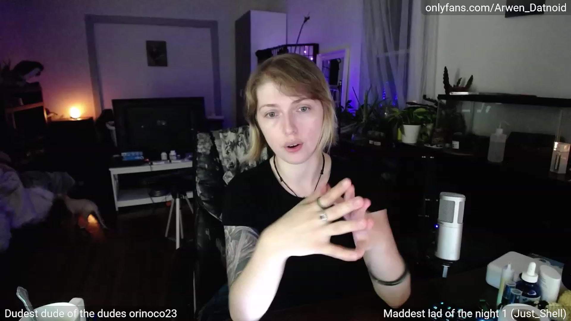 Gallery image thumbnail from Arwen_Datnoid's myfreecams stream on, 07/29/2023, 02:27 image 20 of 20