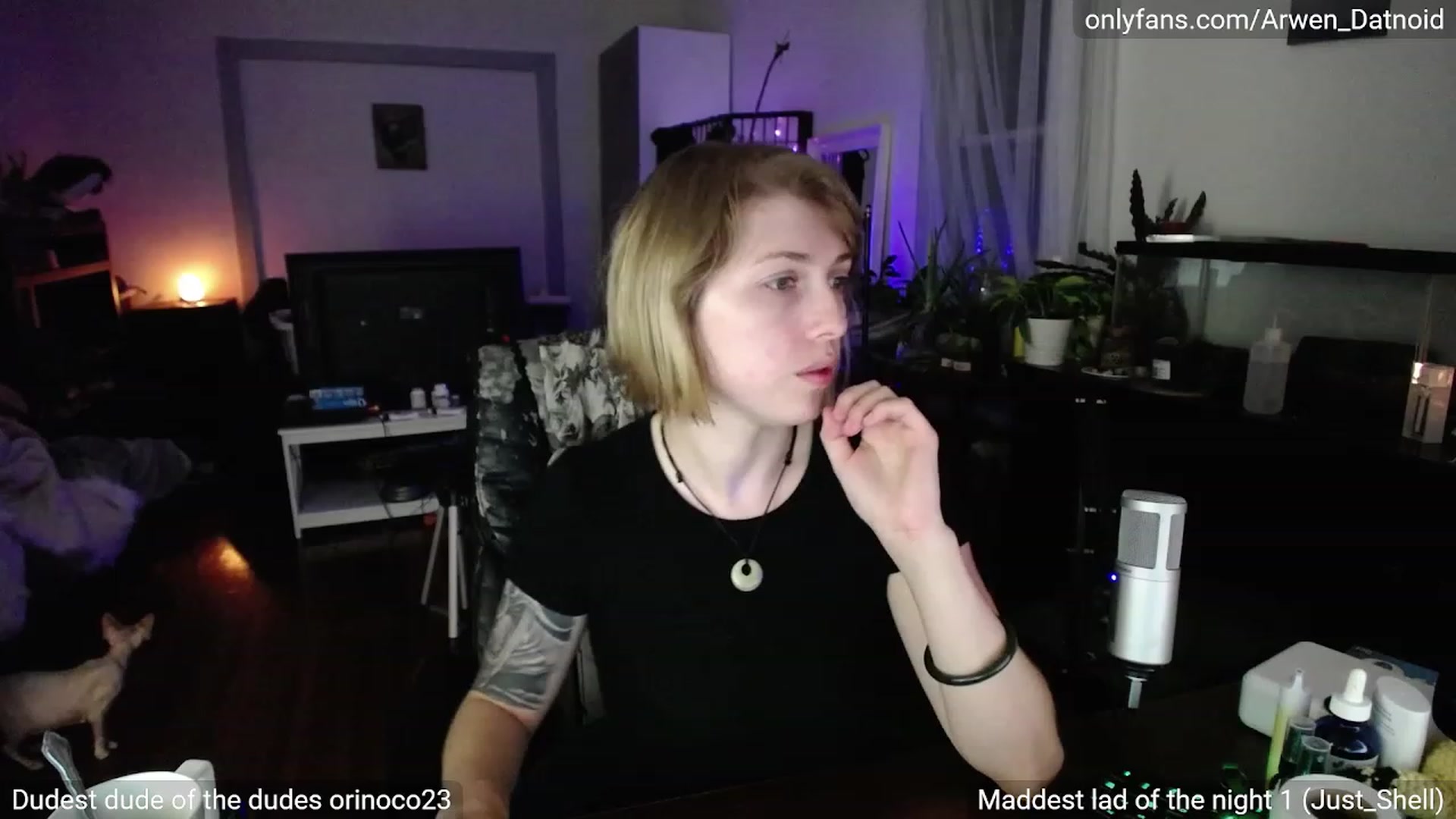 Gallery image thumbnail from Arwen_Datnoid's myfreecams stream on, 07/29/2023, 02:27 image 19 of 20