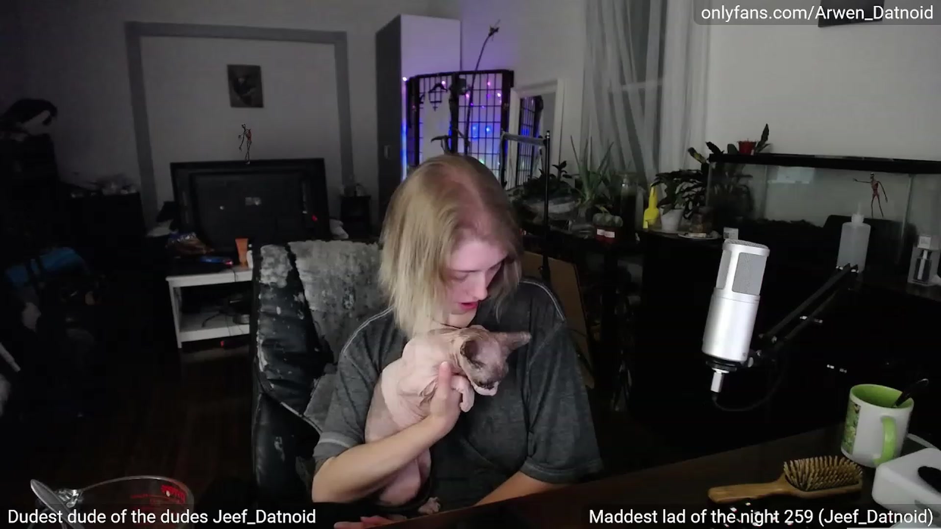 Gallery image thumbnail from Arwen_Datnoid's myfreecams stream on, 08/21/2023, 04:53 image 16 of 20