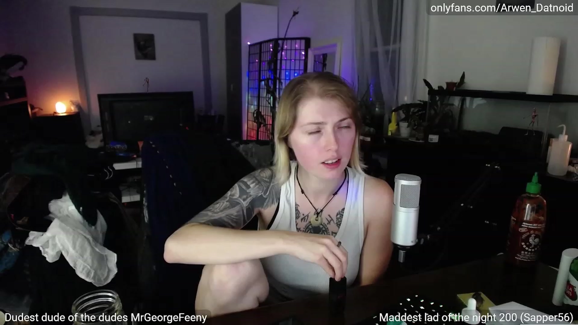 Gallery image thumbnail from Arwen_Datnoid's myfreecams stream on, 09/09/2023, 05:02 image 3 of 20