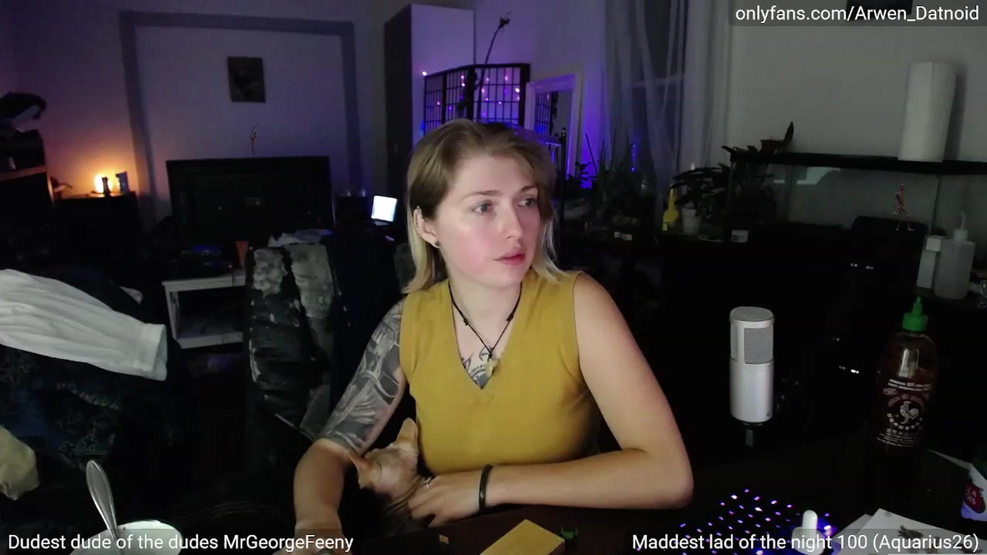 Gallery image thumbnail from Arwen_Datnoid's myfreecams stream on, 09/11/2023, 04:14 image 19 of 20