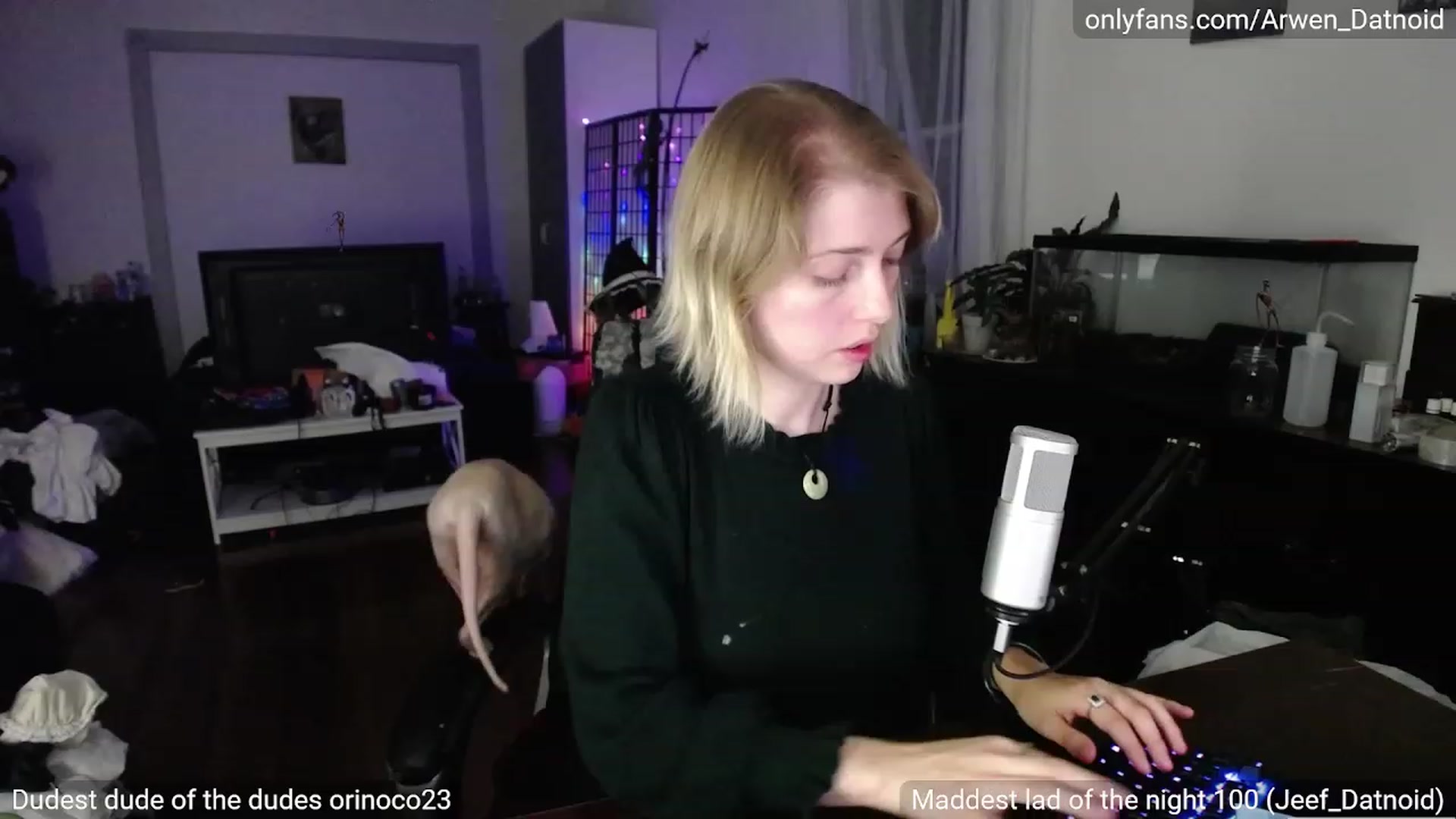 Gallery image thumbnail from Arwen_Datnoid's myfreecams stream on, 09/24/2023, 02:08 image 20 of 20