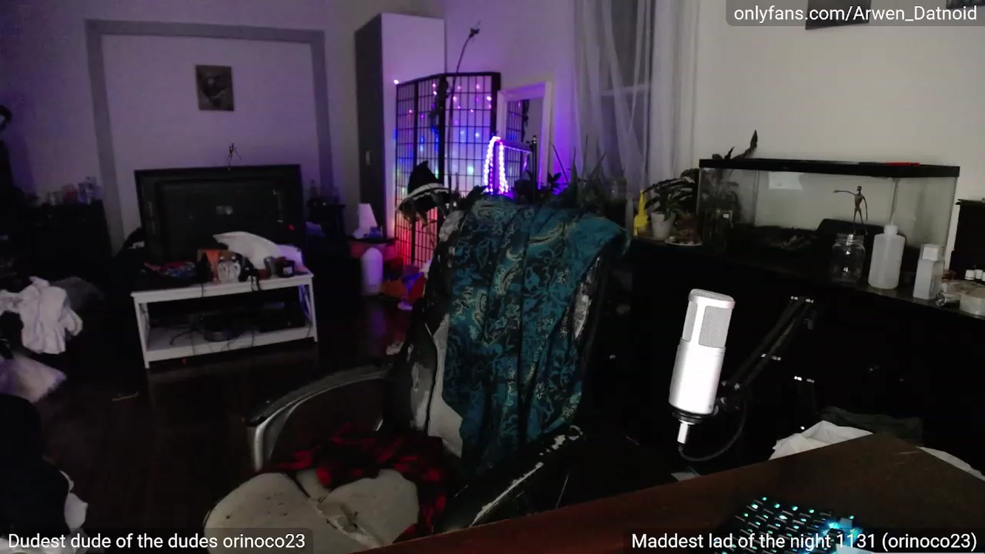 Gallery image thumbnail from Arwen_Datnoid's myfreecams stream on, 09/24/2023, 03:34 image 8 of 20