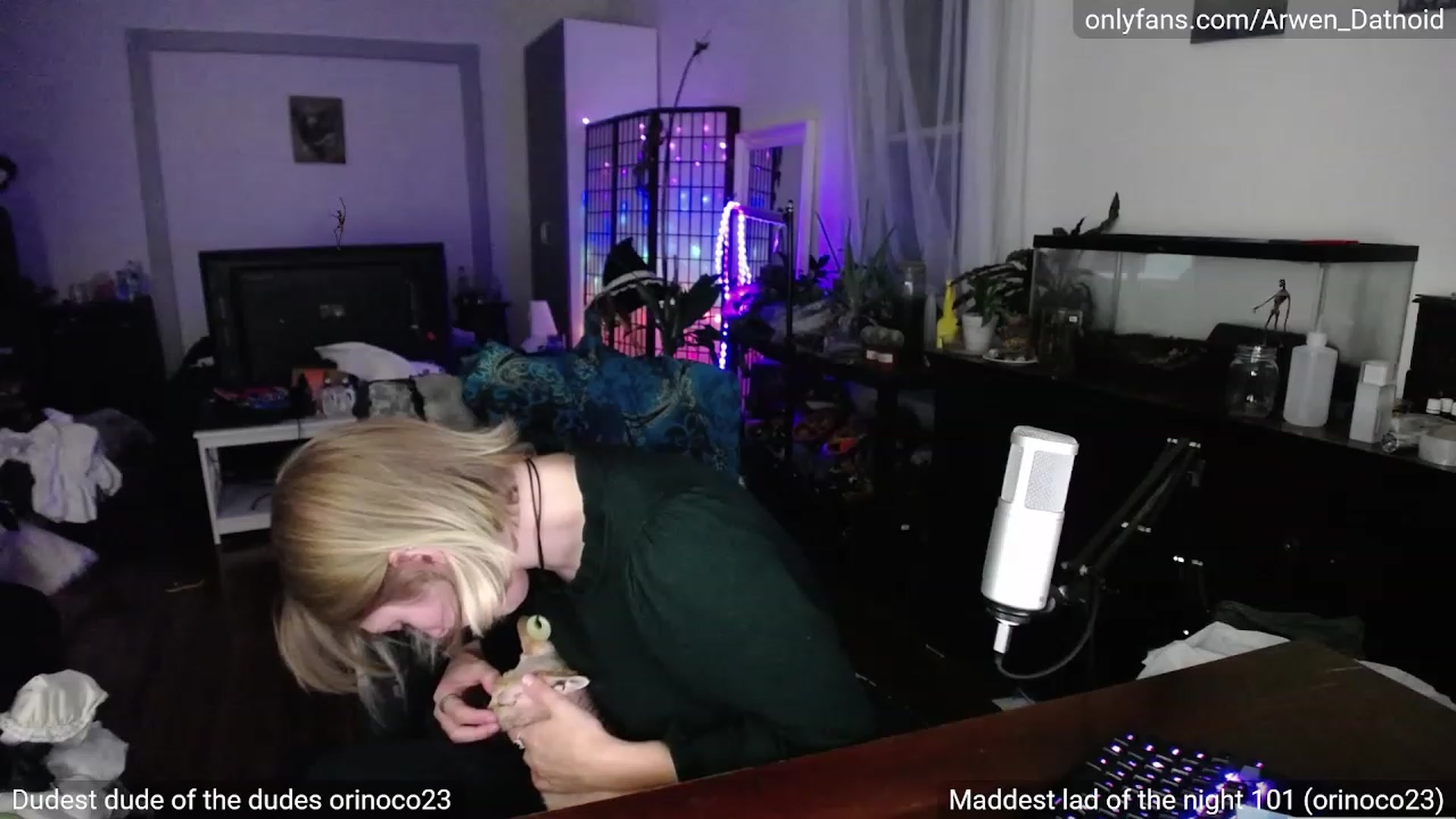Gallery image thumbnail from Arwen_Datnoid's myfreecams stream on, 09/24/2023, 03:34 image 3 of 20