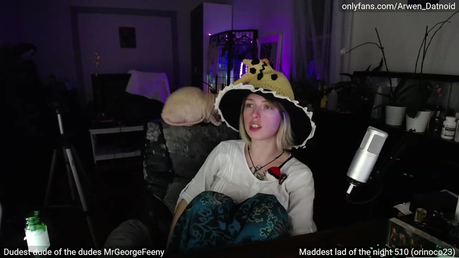 Gallery image thumbnail from Arwen_Datnoid's myfreecams stream on, 10/08/2023, 04:06 image 11 of 20