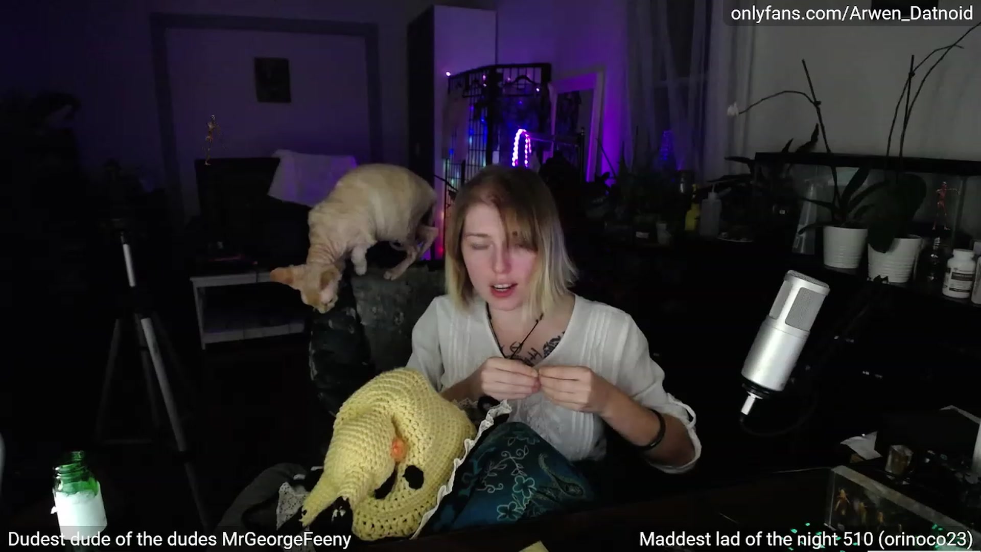 Gallery image thumbnail from Arwen_Datnoid's myfreecams stream on, 10/08/2023, 04:06 image 17 of 20