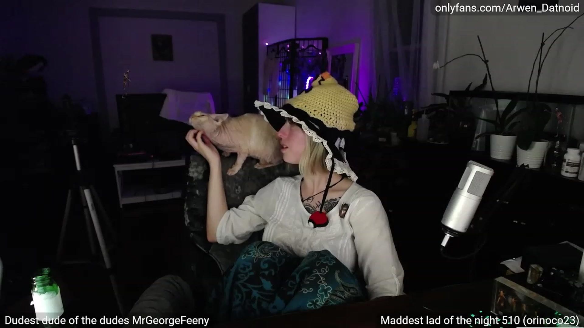 Gallery image thumbnail from Arwen_Datnoid's myfreecams stream on, 10/08/2023, 04:06 image 14 of 20