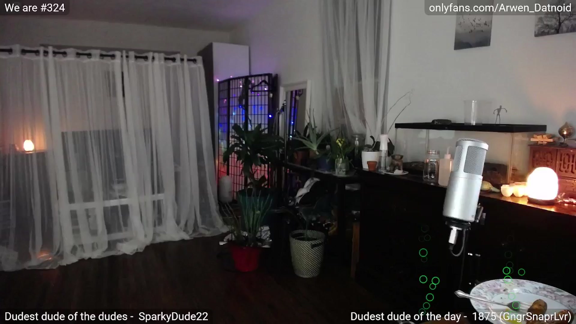 Gallery image thumbnail from Arwen_Datnoid's myfreecams stream on, 01/18/2025, 07:28 image 20 of 20