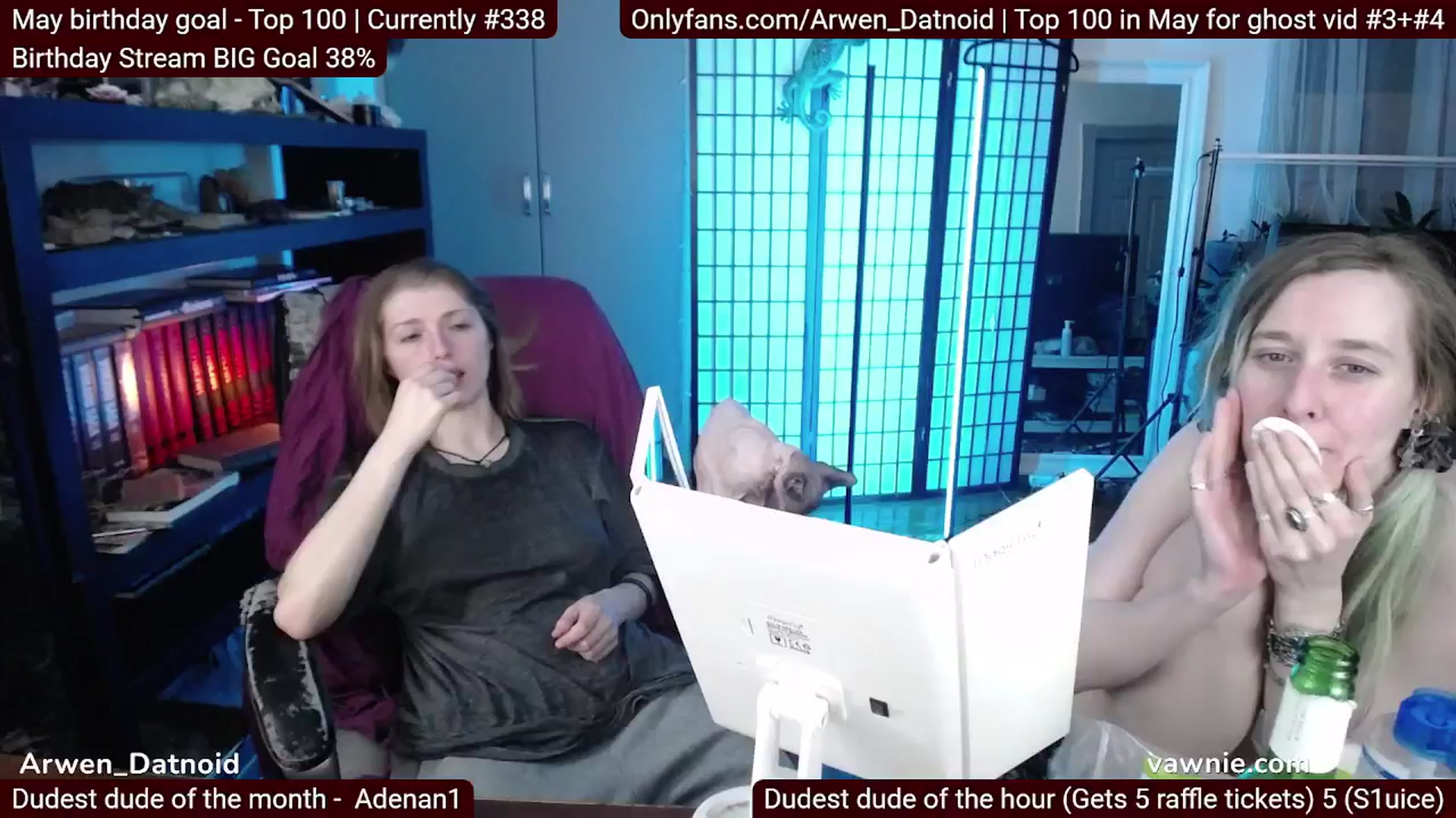 Gallery image thumbnail from Arwen_Datnoid's myfreecams stream on, 05/31/2025, 07:50 image 16 of 20