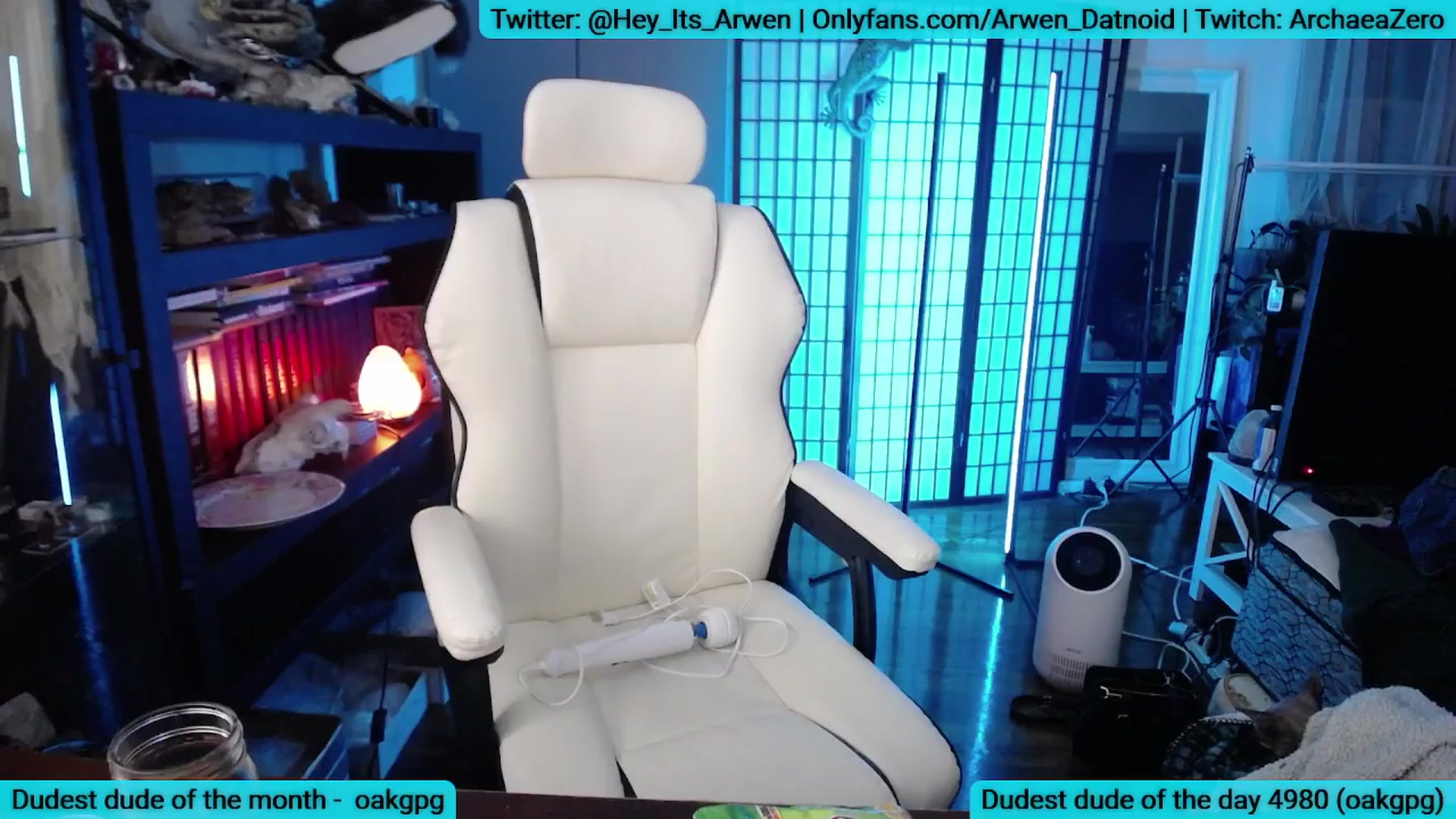 Gallery image thumbnail from Arwen_Datnoid's myfreecams stream on, 08/10/2025, 08:03 image 10 of 20