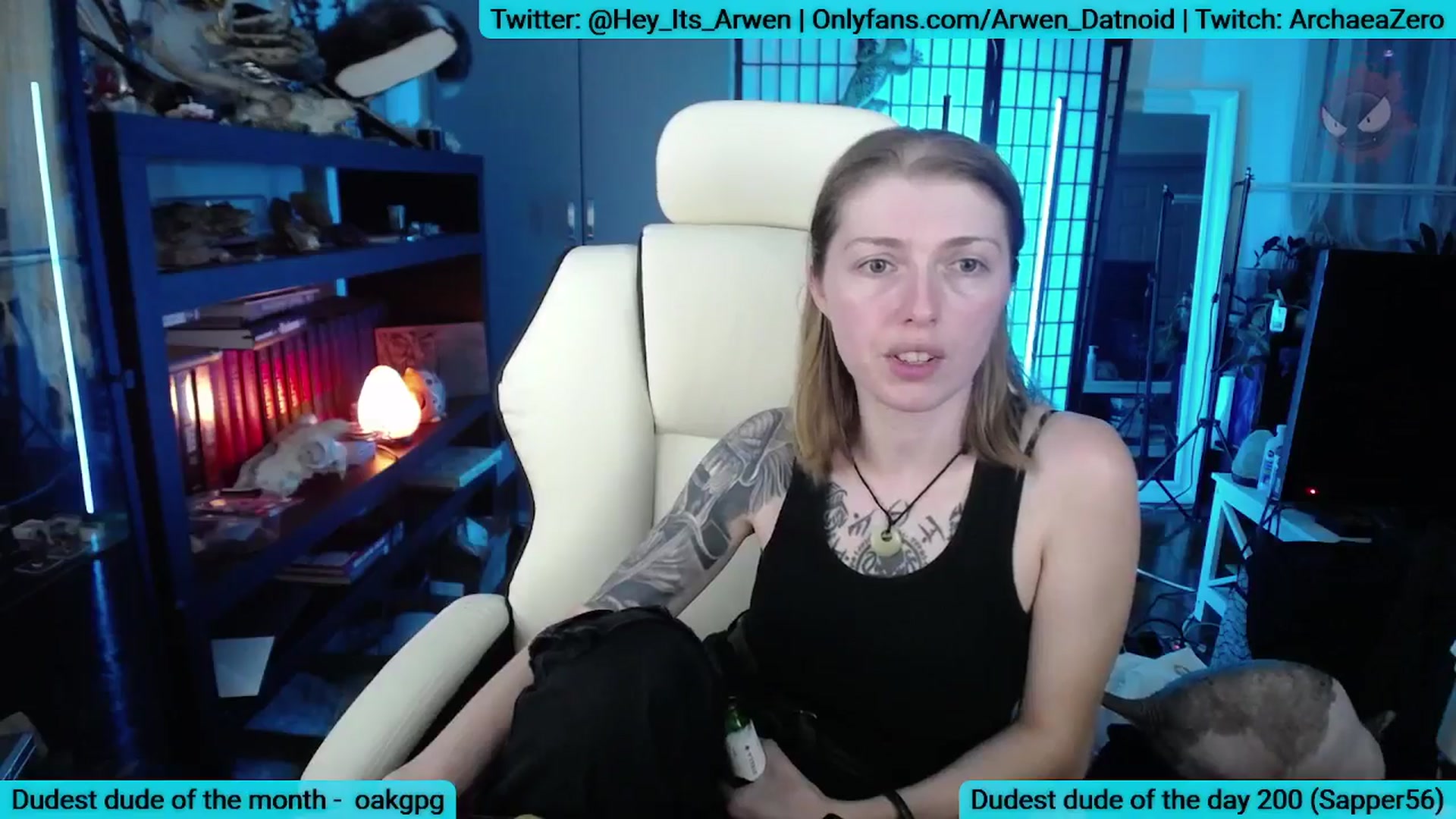 Gallery image thumbnail from Arwen_Datnoid's myfreecams stream on, 08/25/2025, 03:53 image 17 of 20