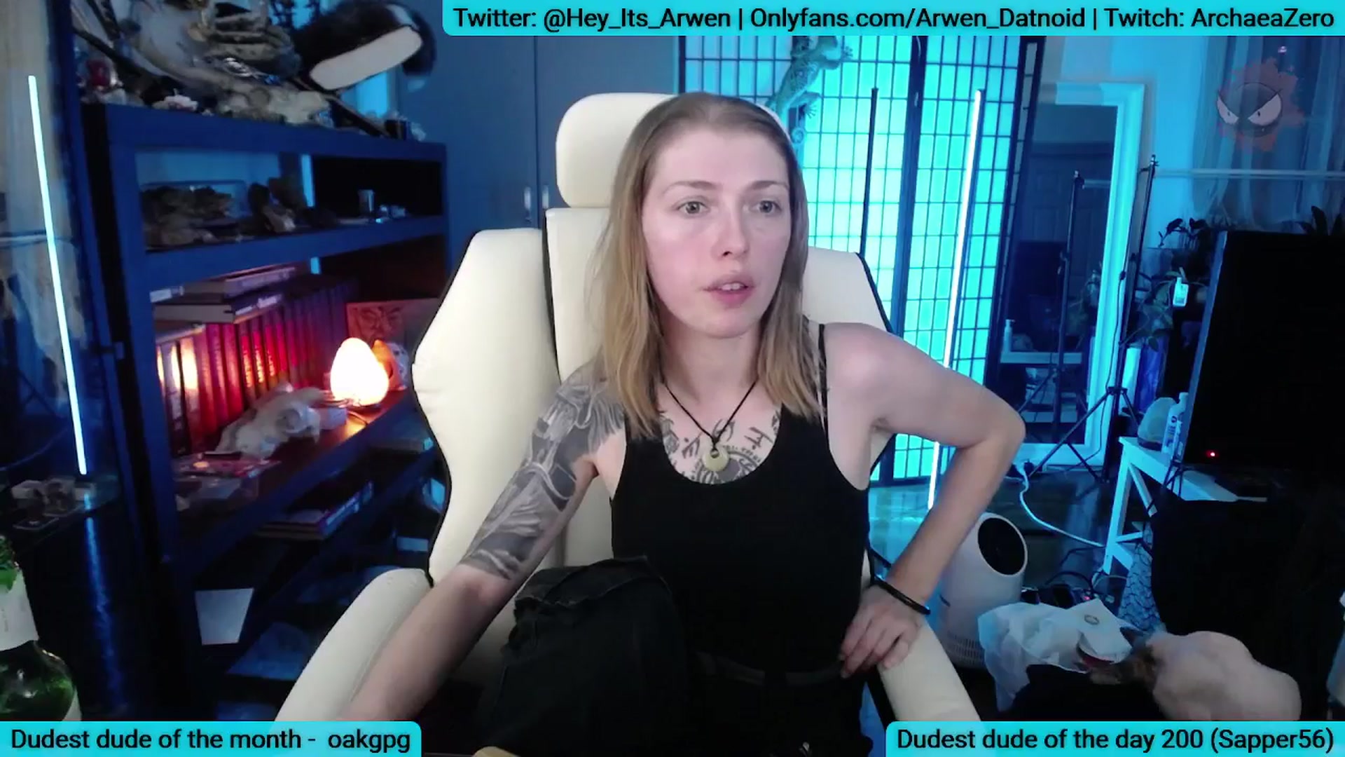 Gallery image thumbnail from Arwen_Datnoid's myfreecams stream on, 08/25/2025, 03:53 image 15 of 20