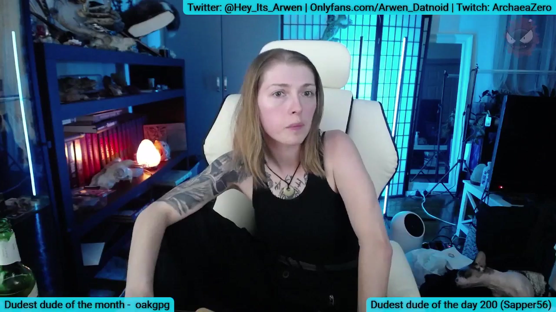 Gallery image thumbnail from Arwen_Datnoid's myfreecams stream on, 08/25/2025, 03:53 image 14 of 20