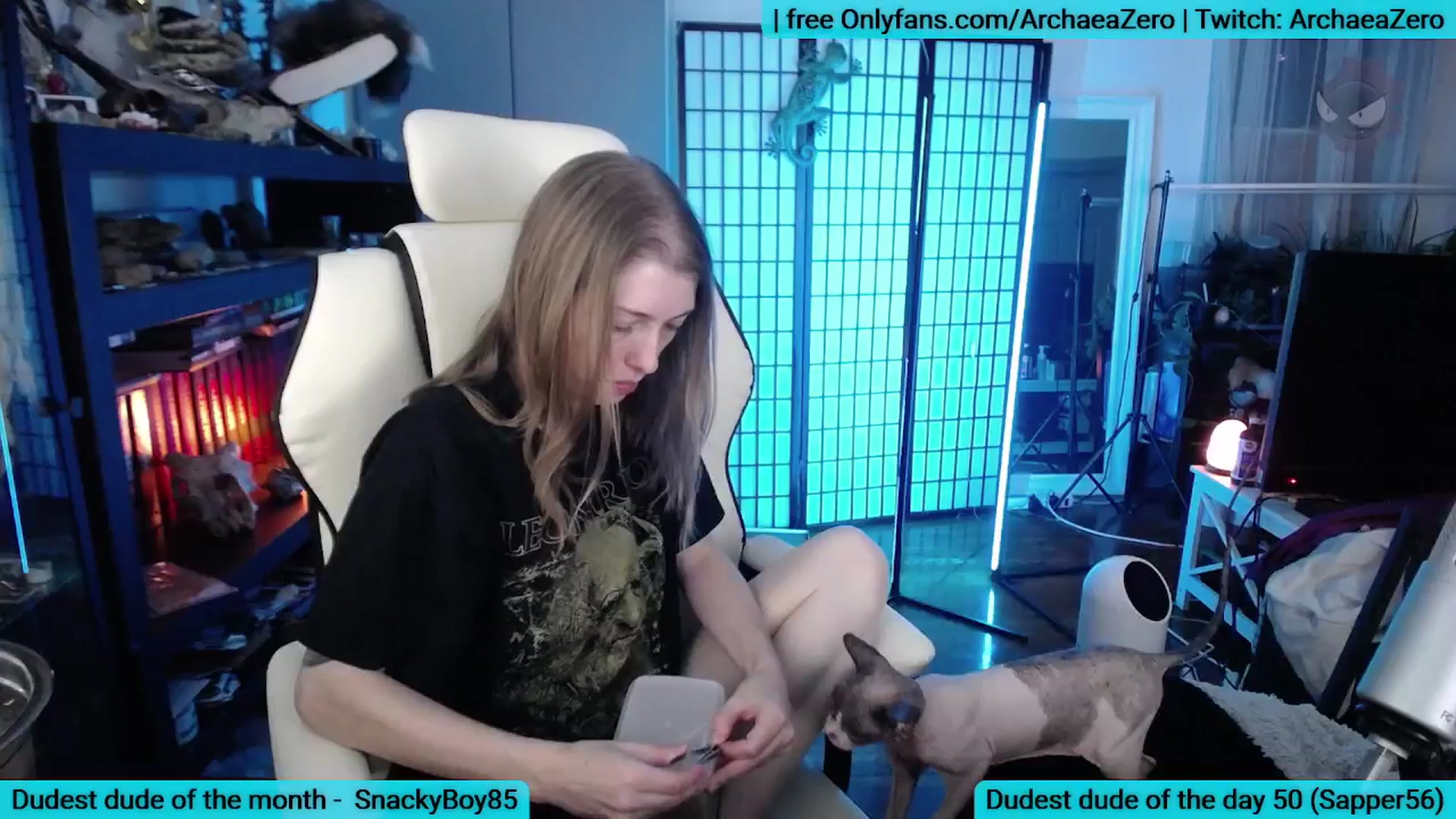 Gallery image thumbnail from Arwen_Datnoid's myfreecams stream on, 12/22/2025, 03:38 image 4 of 20