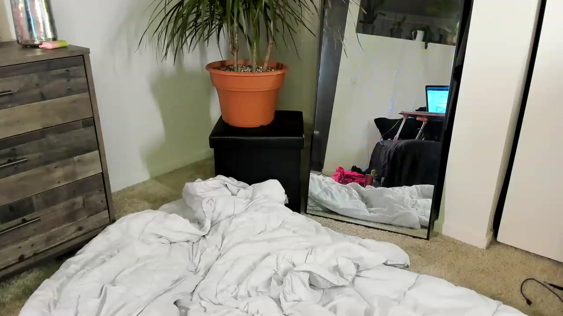 Gallery image thumbnail from AryaBella's myfreecams stream on, 11/19/2022, 11:49 image 19 of 20