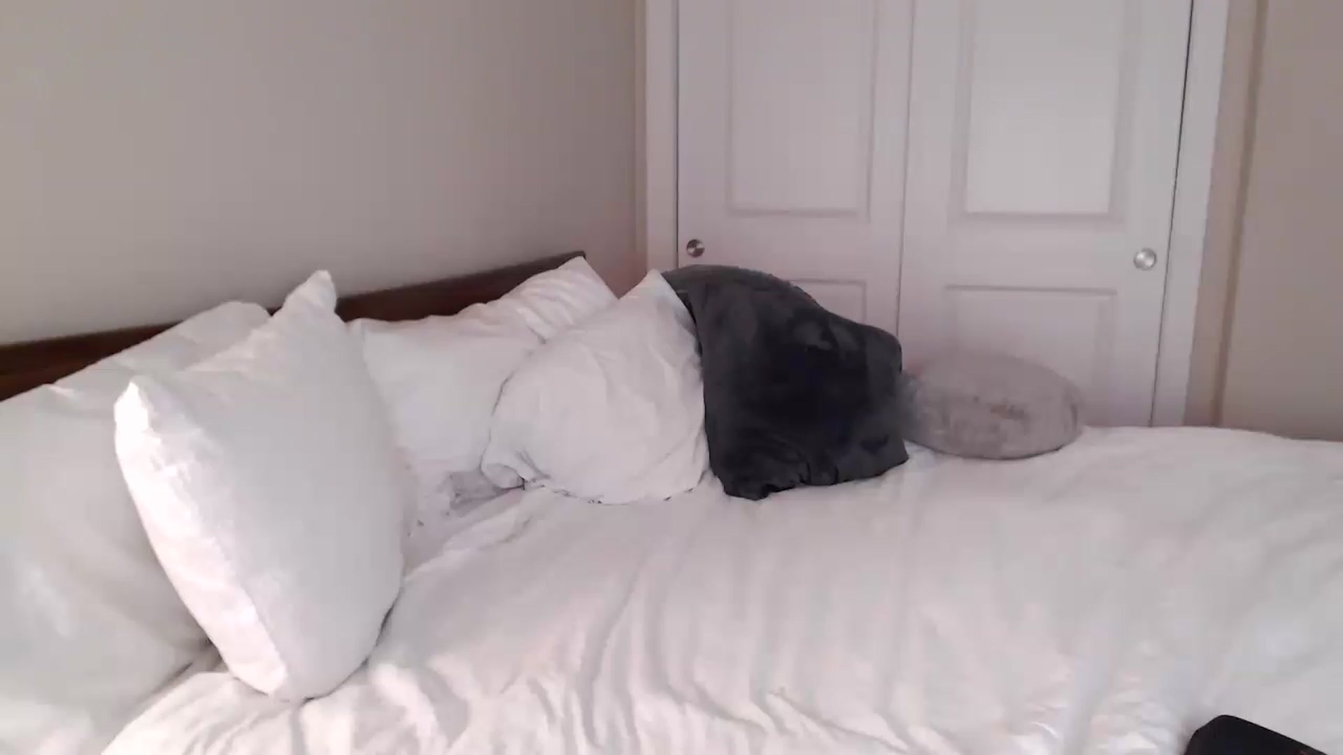 Gallery image thumbnail from AryaBella's myfreecams stream on, 01/27/2023, 24:03 image 10 of 20
