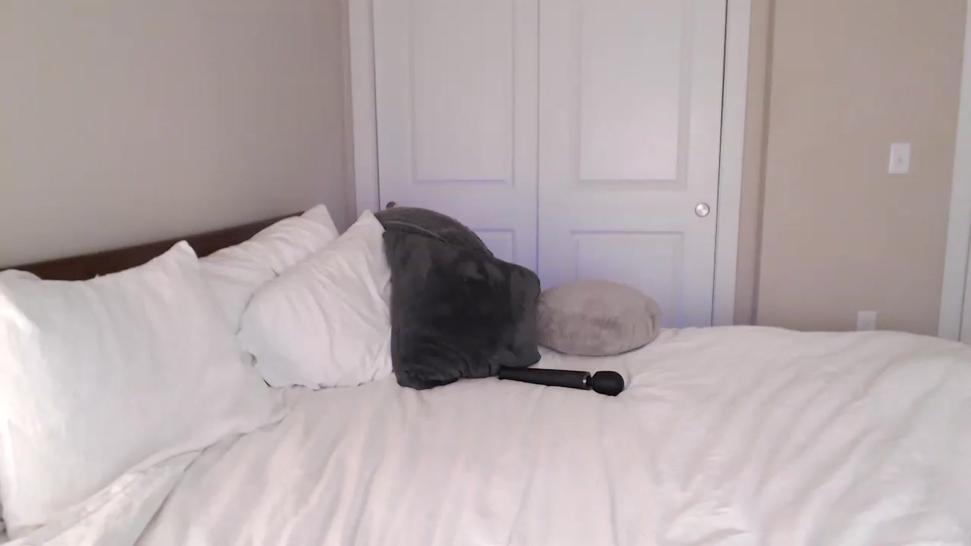 Gallery image thumbnail from AryaBella's myfreecams stream on, 01/27/2023, 01:19 image 15 of 20