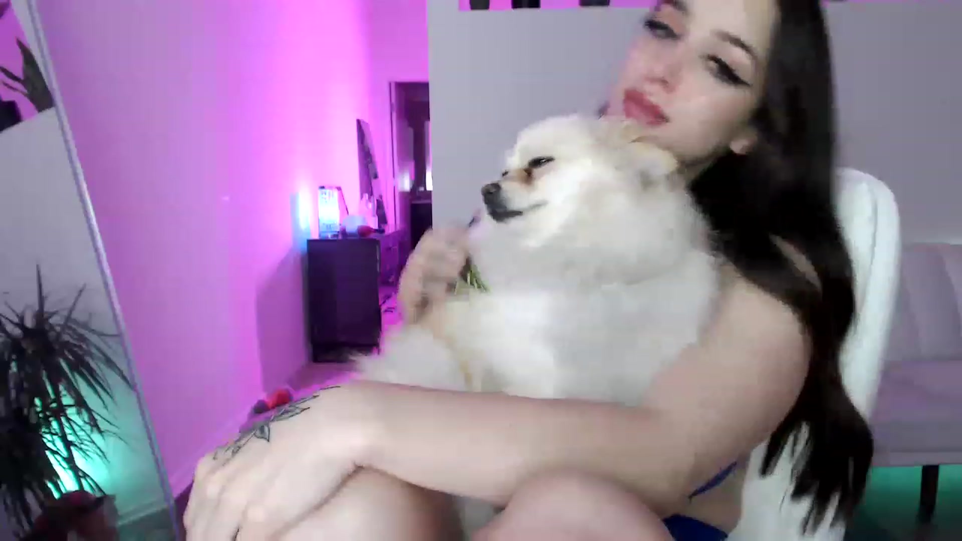 Gallery image thumbnail from AryaBella's myfreecams stream on, 02/28/2023, 06:03 image 18 of 20