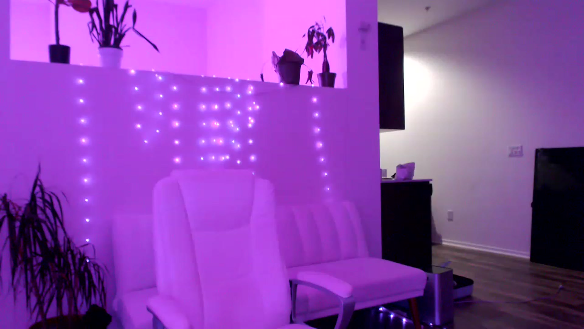 Gallery image thumbnail from AryaBella's myfreecams stream on, 05/19/2023, 11:58 image 16 of 20