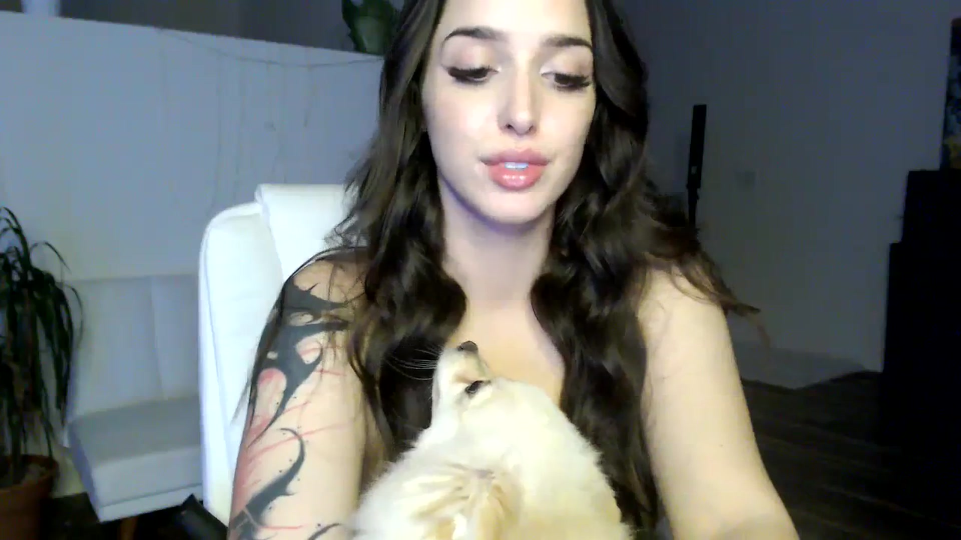 Gallery image thumbnail from AryaBella's myfreecams stream on, 06/02/2023, 05:43 image 8 of 20