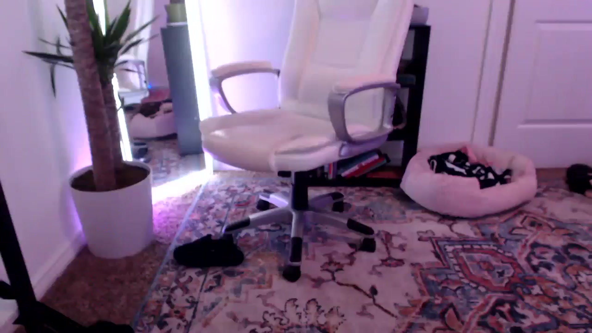Gallery image thumbnail from AryaBella's myfreecams stream on, 03/30/2024, 02:35 image 10 of 20