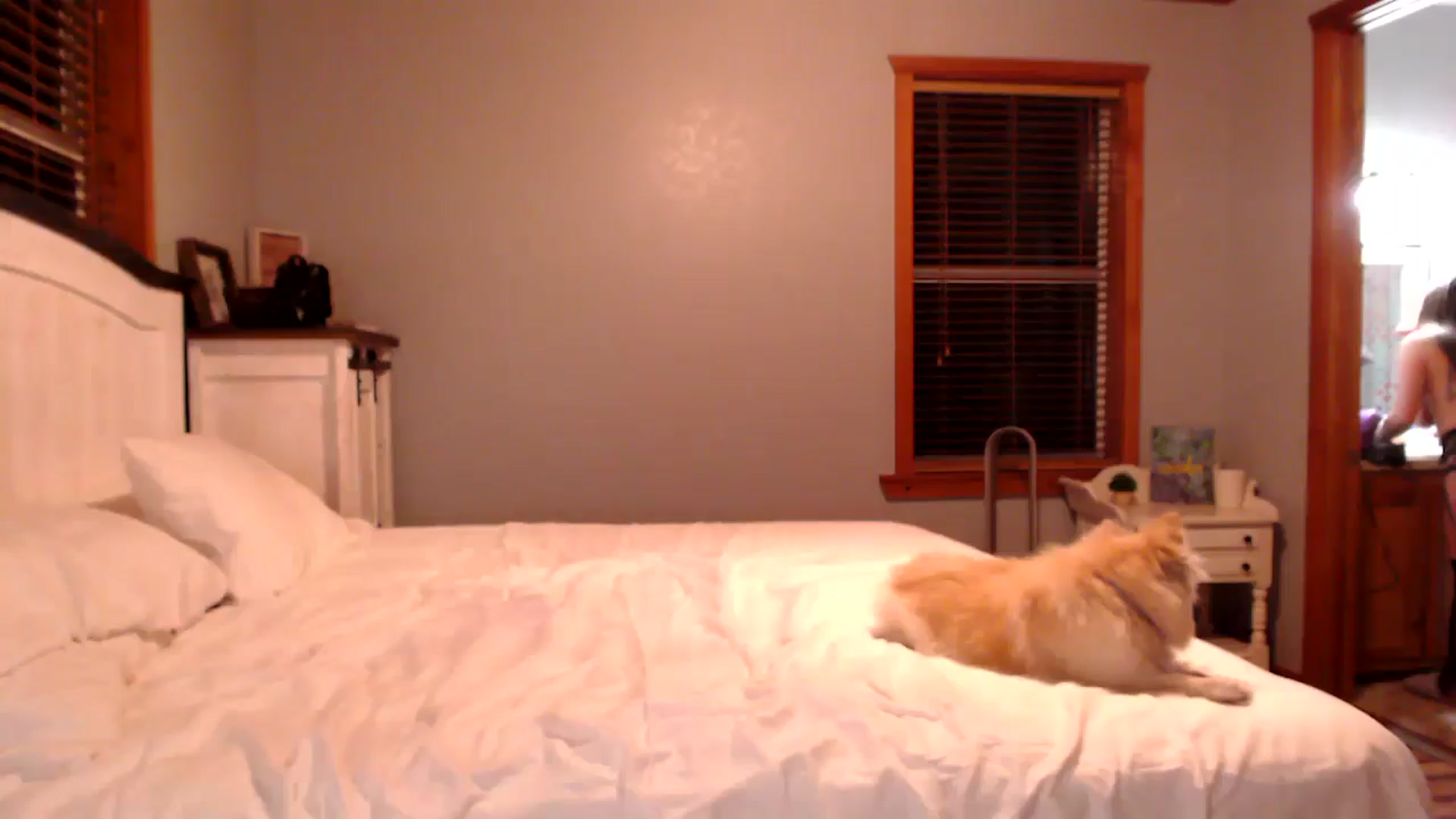 Gallery image thumbnail from AryaBella's myfreecams stream on, 04/21/2024, 06:16 image 1 of 20