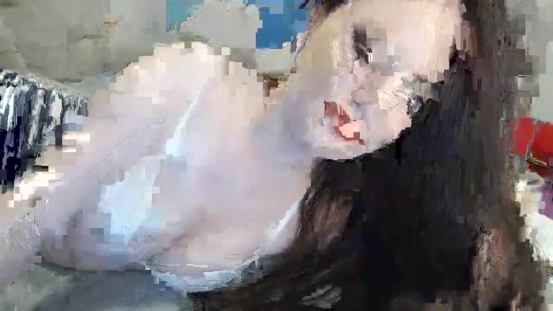 Gallery image thumbnail from Aryelle_'s myfreecams stream on, 07/31/2023, 20:30 image 12 of 20