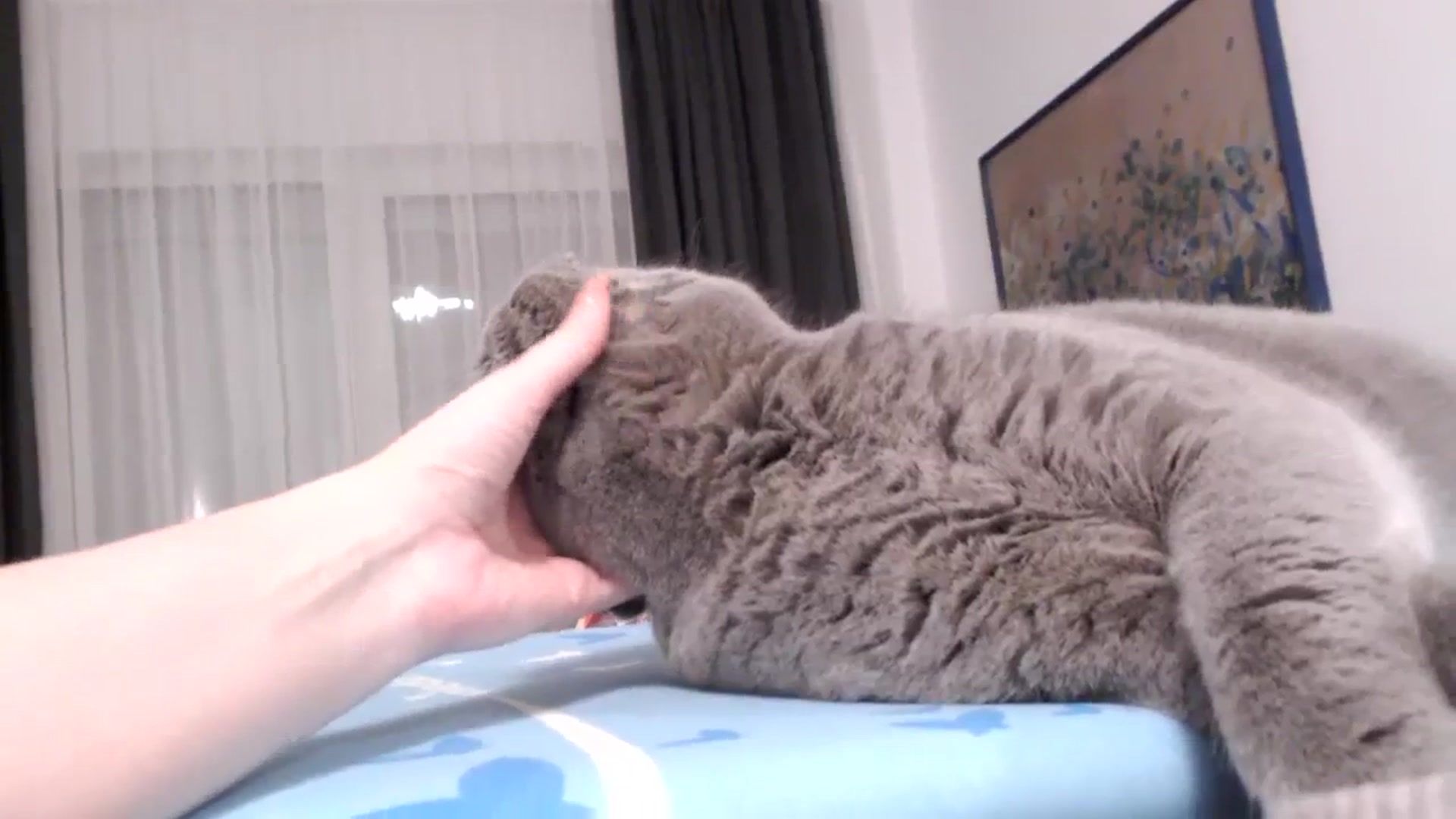 Gallery image thumbnail from Aryelle_'s myfreecams stream on, 10/29/2023, 20:12 image 10 of 20